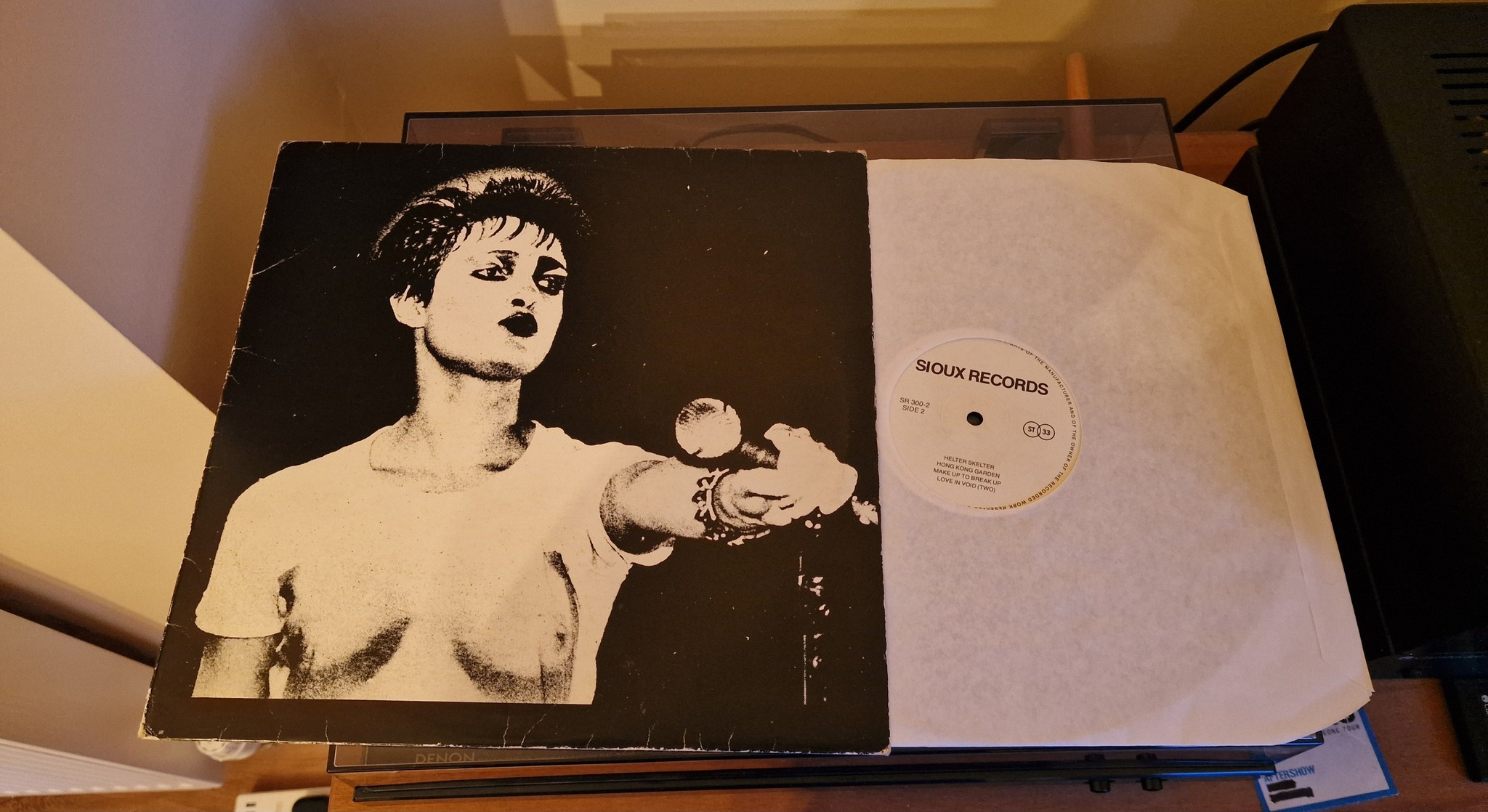 Siouxsie & the Banshees Twice Upon a Time LD laser disc for sale