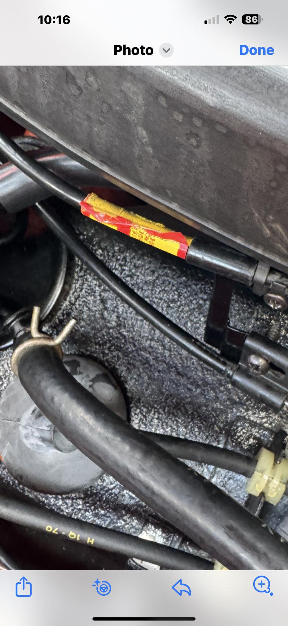 Decalcomania Per Telaio Bici - Downtube Spina - Adesivo Nuovo
