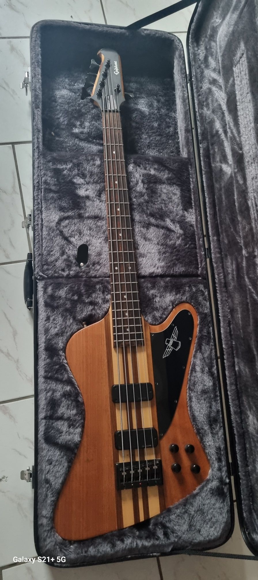 Hello, I own a non-reverse Epiphone Thunderbird bass and I'm