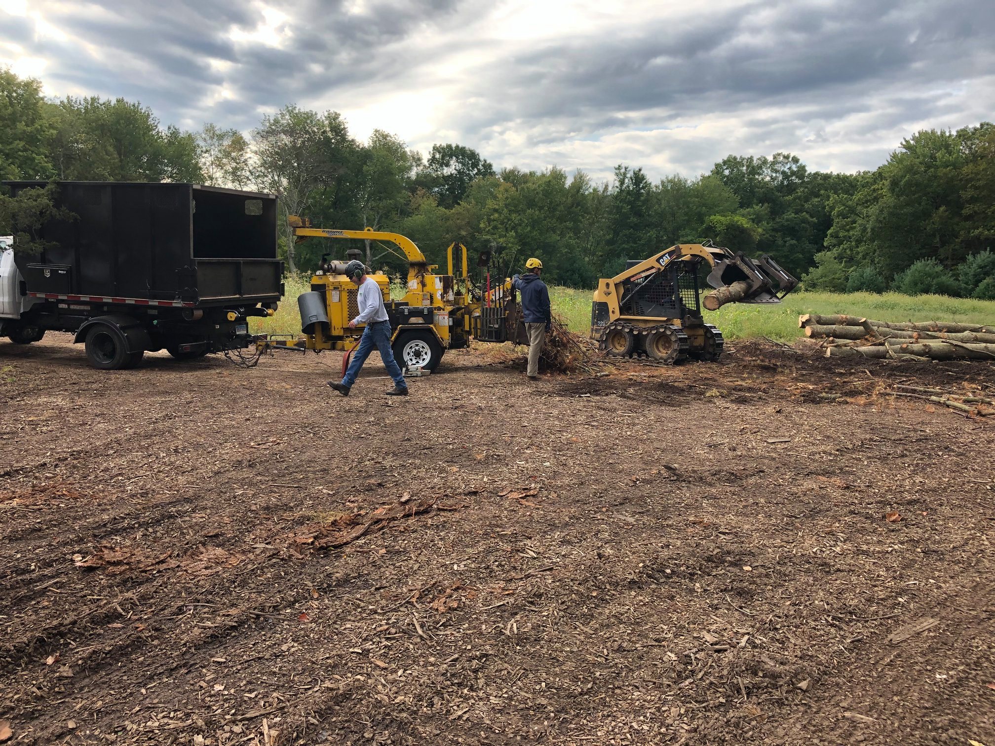 Sullivan Tree and Landscape, LLC. | Glastonbury CT