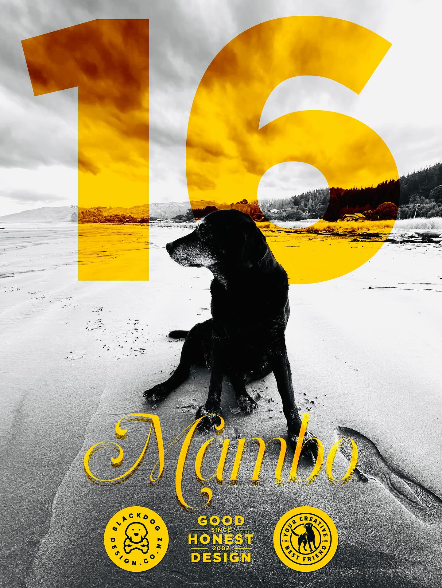George Williams - My beautiful Mambo passed away today at... | Facebook
