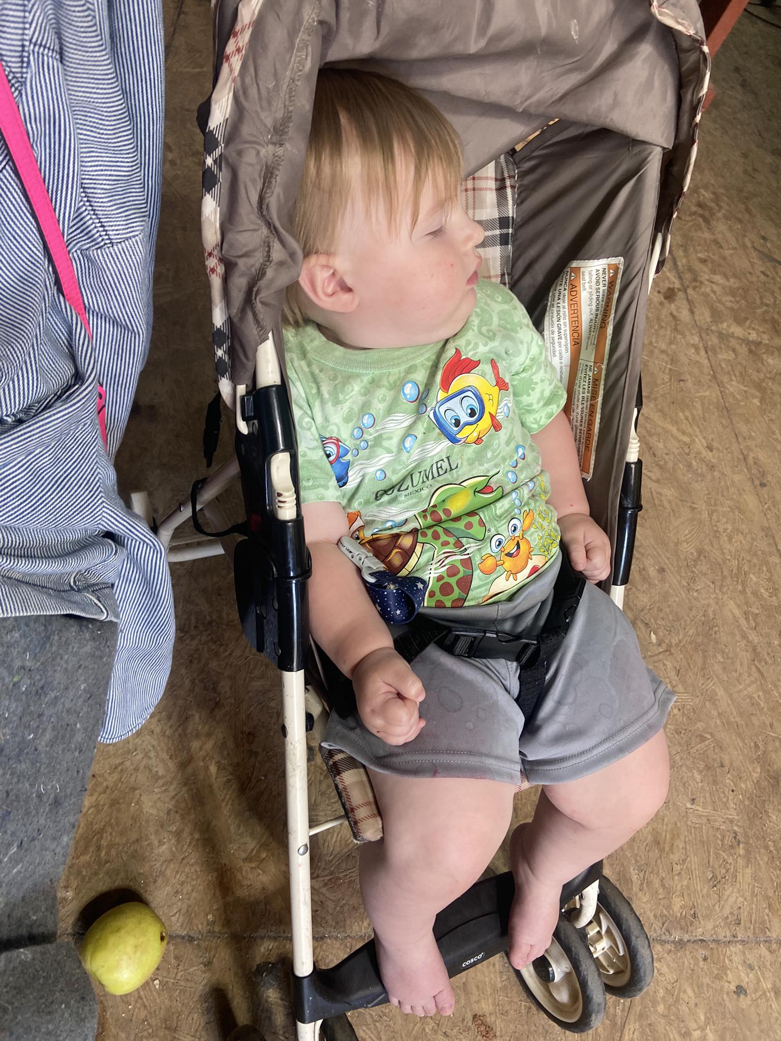 otto self-folding lightweight travel stroller Evenflo Evenflo® Otto+™ System – Evenflo Official Site – Evenflo® Company, Inc some of my hardest el señor new york this extended use stroller Fly Line:Offshore Heavy Sink