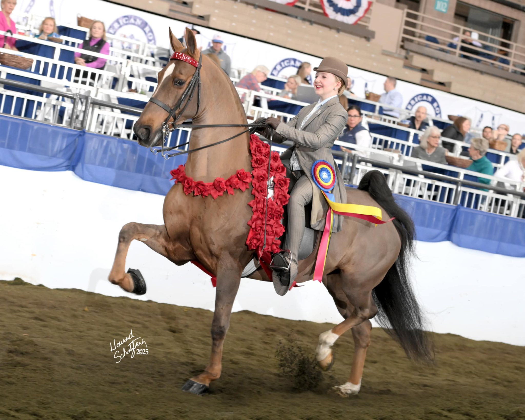Commotion! Consignment Riding Apparel | The American Royal Junior ...