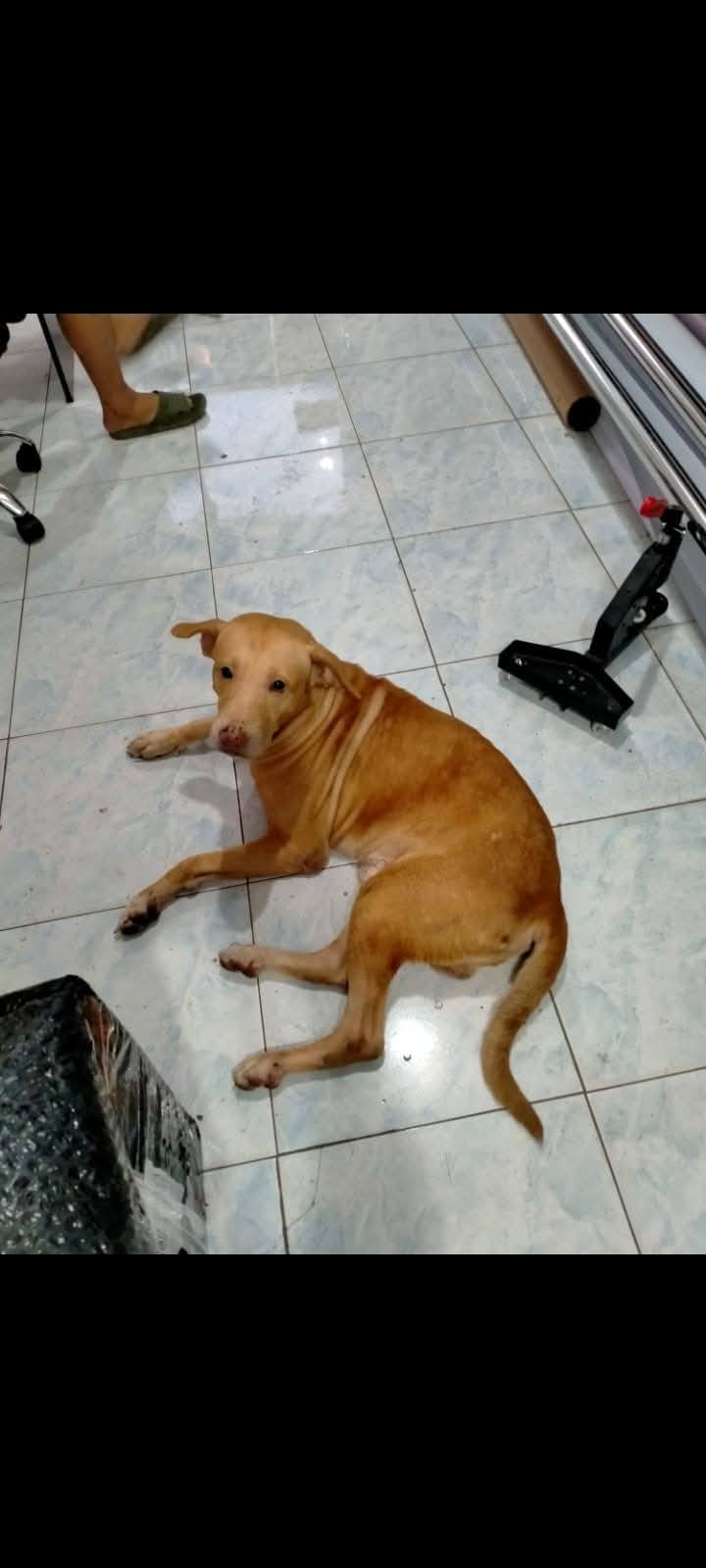 Jubred Ada Peñano