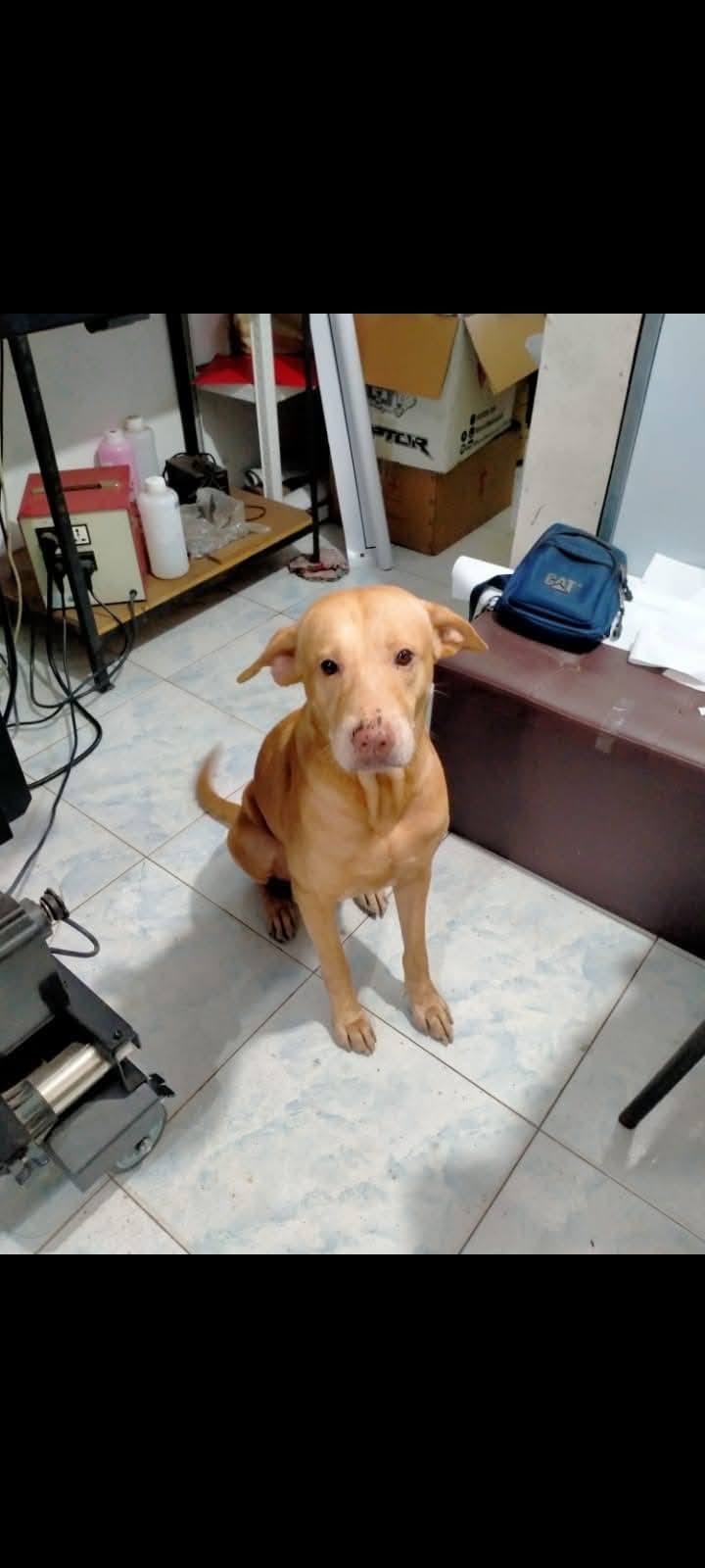 Jubred Ada Peñano