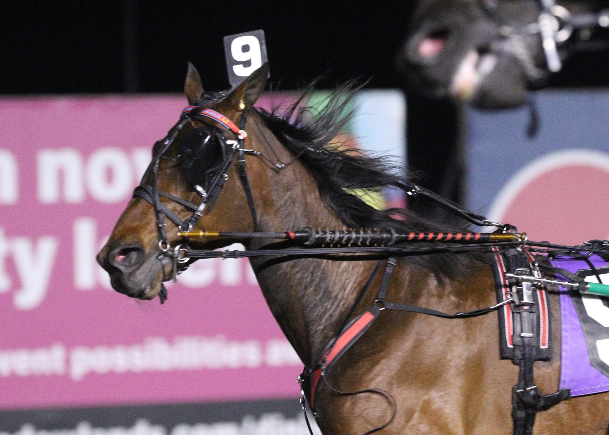 Big M adds “Prime Time Hi-5” after... - Meadowlands Racetrack | Facebook