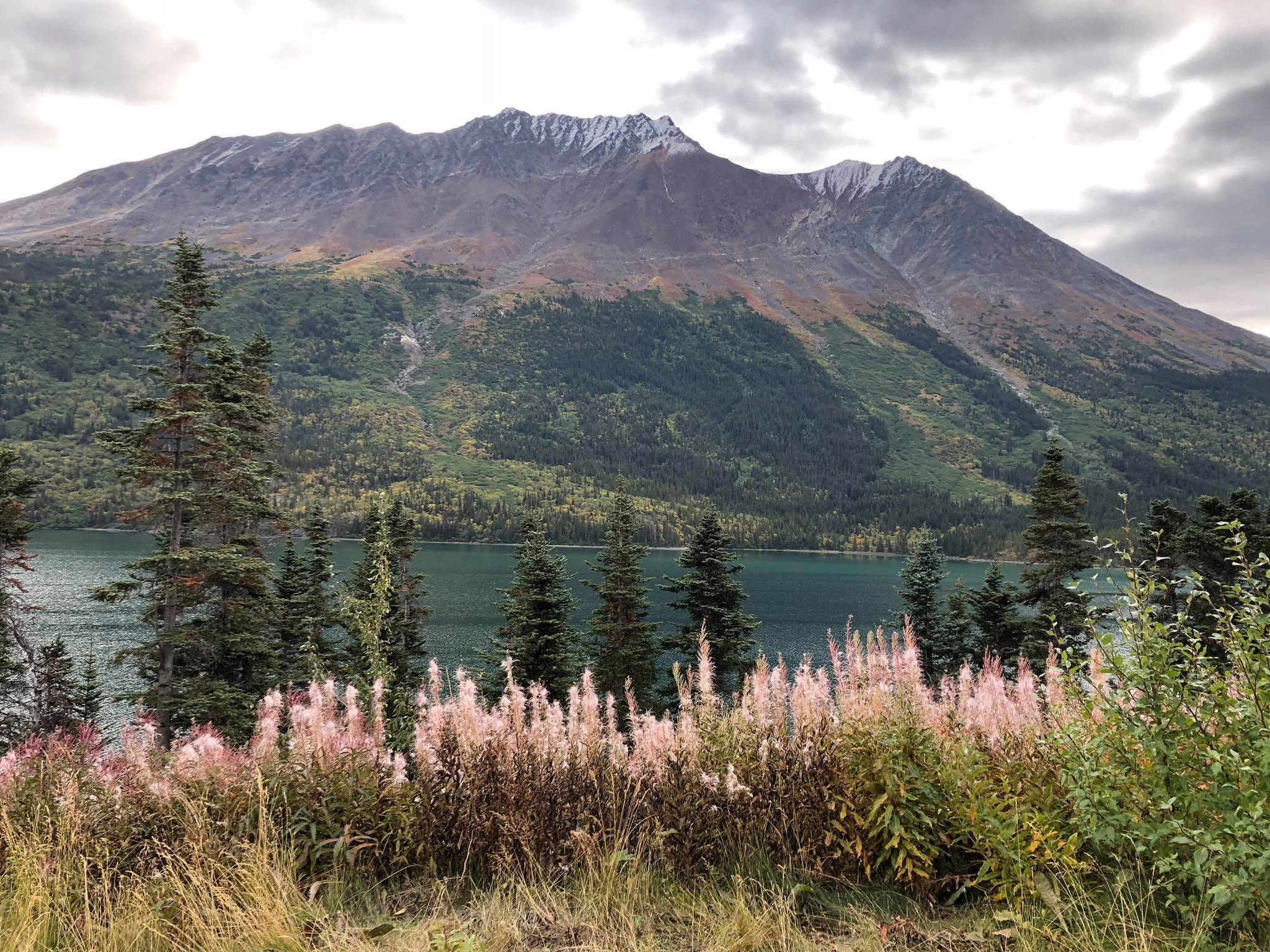 Alaska Princess Cruises & Land Tours | Facebook