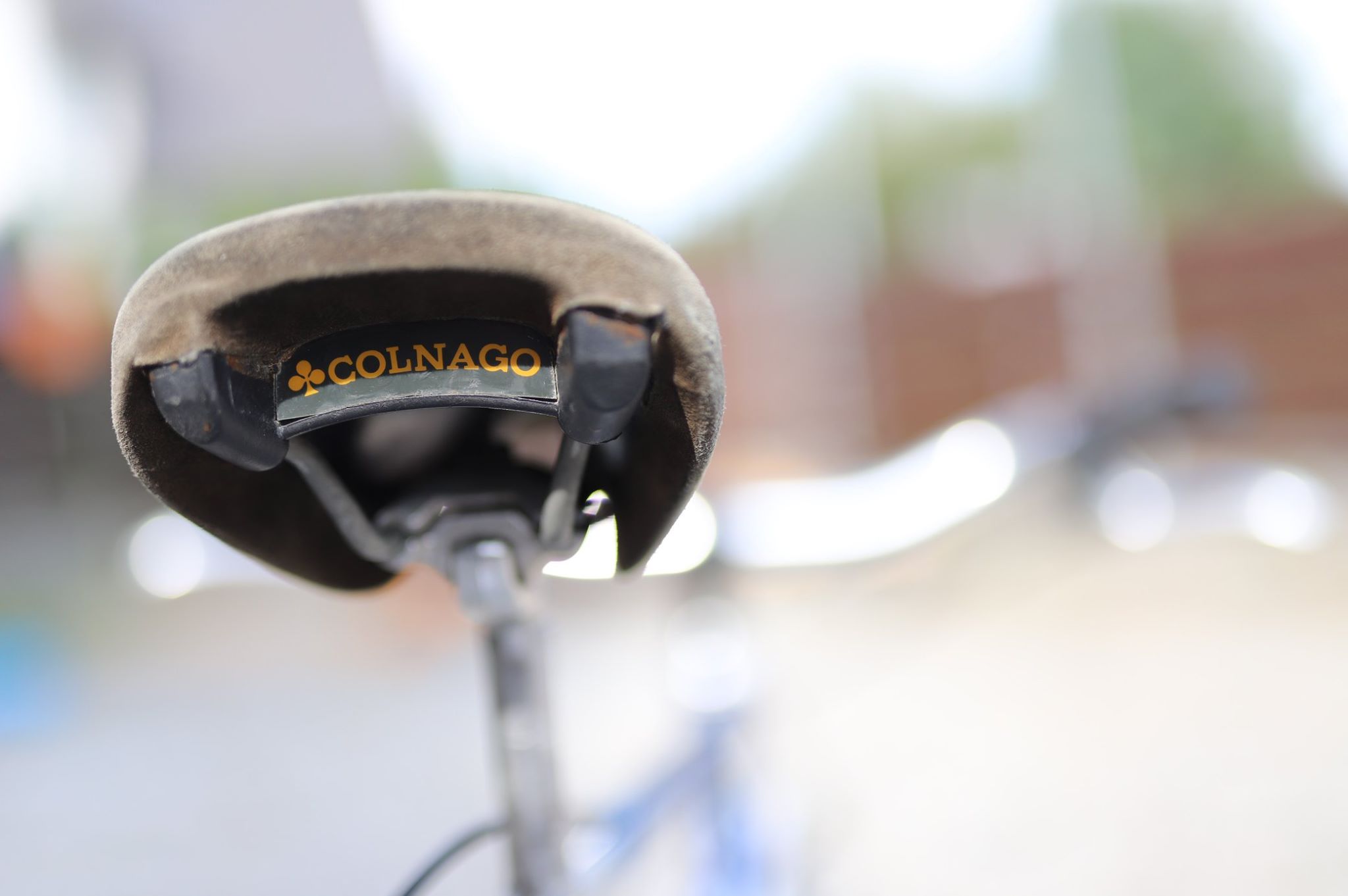 1983 Colnago Oval CX Gentleman for sale