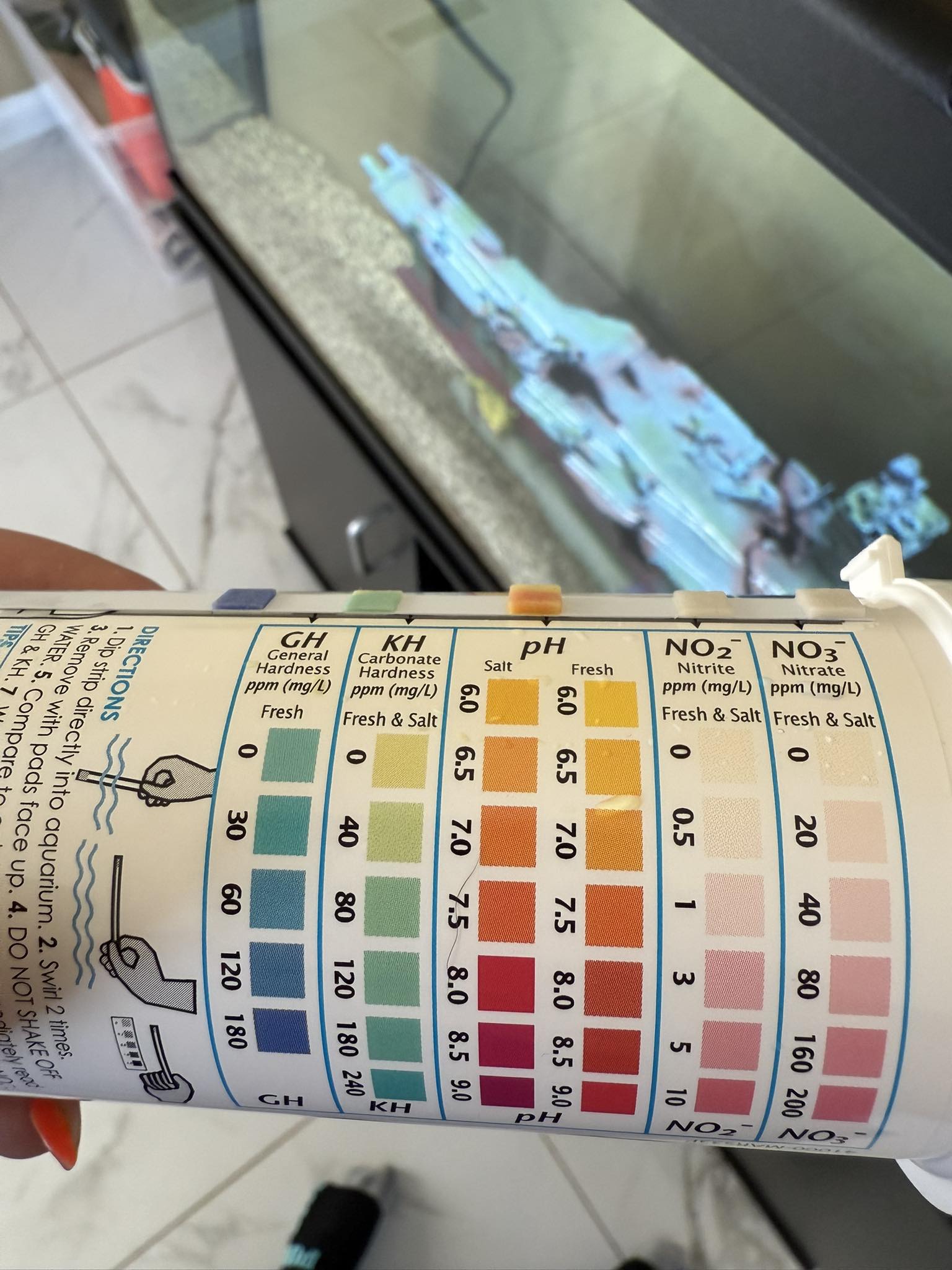 Fish Tanks for Beginners | Just tested my newly cycling tank, been ...