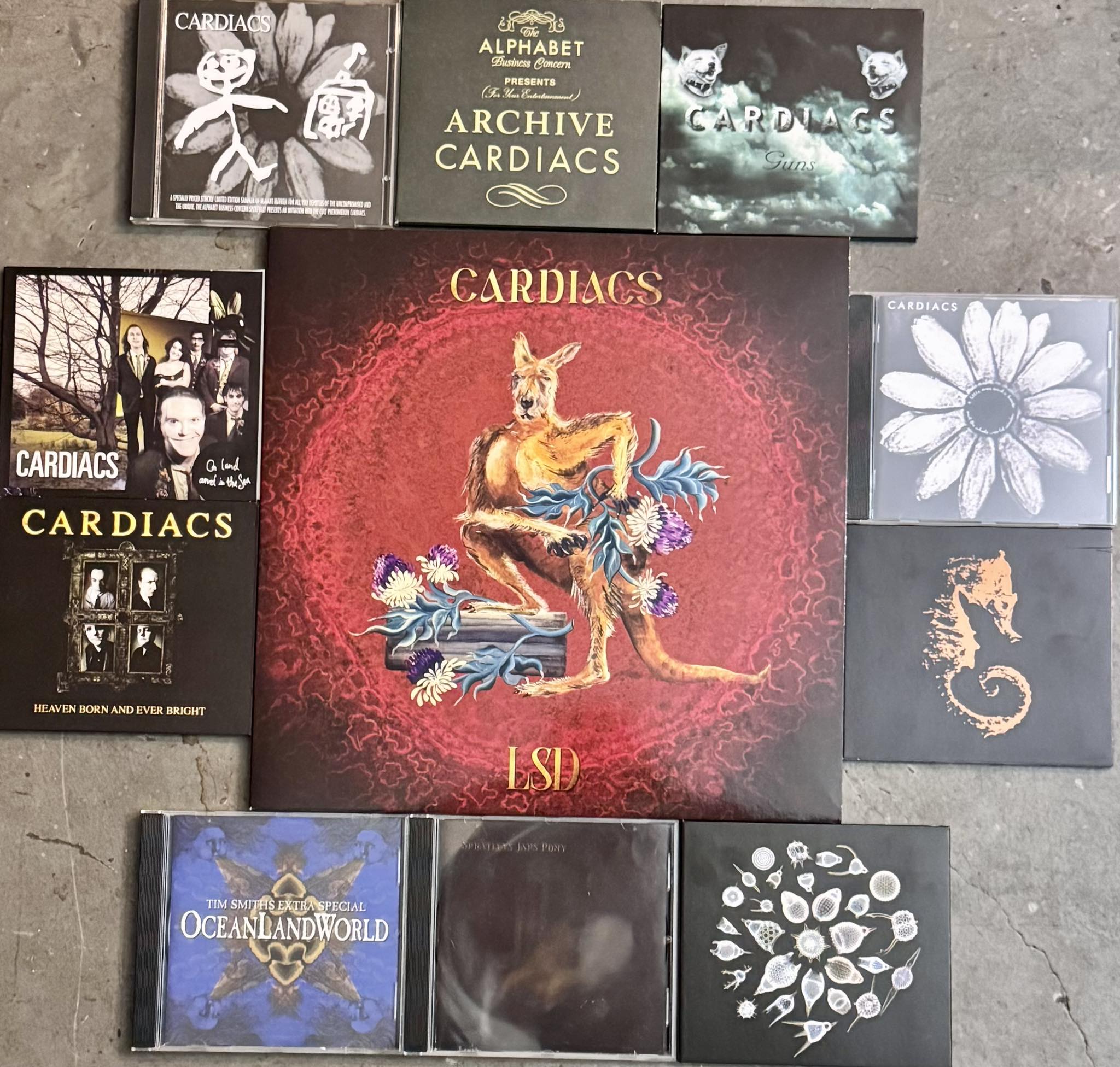 Cardiacs | In the last six months, I’ve plunged headfirst into Cardiacs ...
