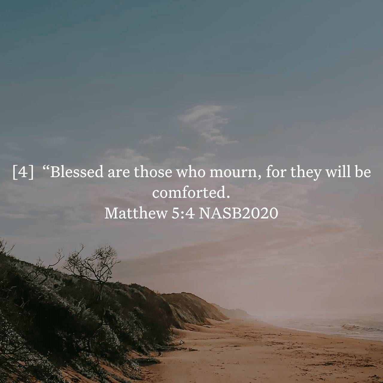 Matthew 5:4 We lost my brother Scott... - Teena Jo Bambolo | Facebook