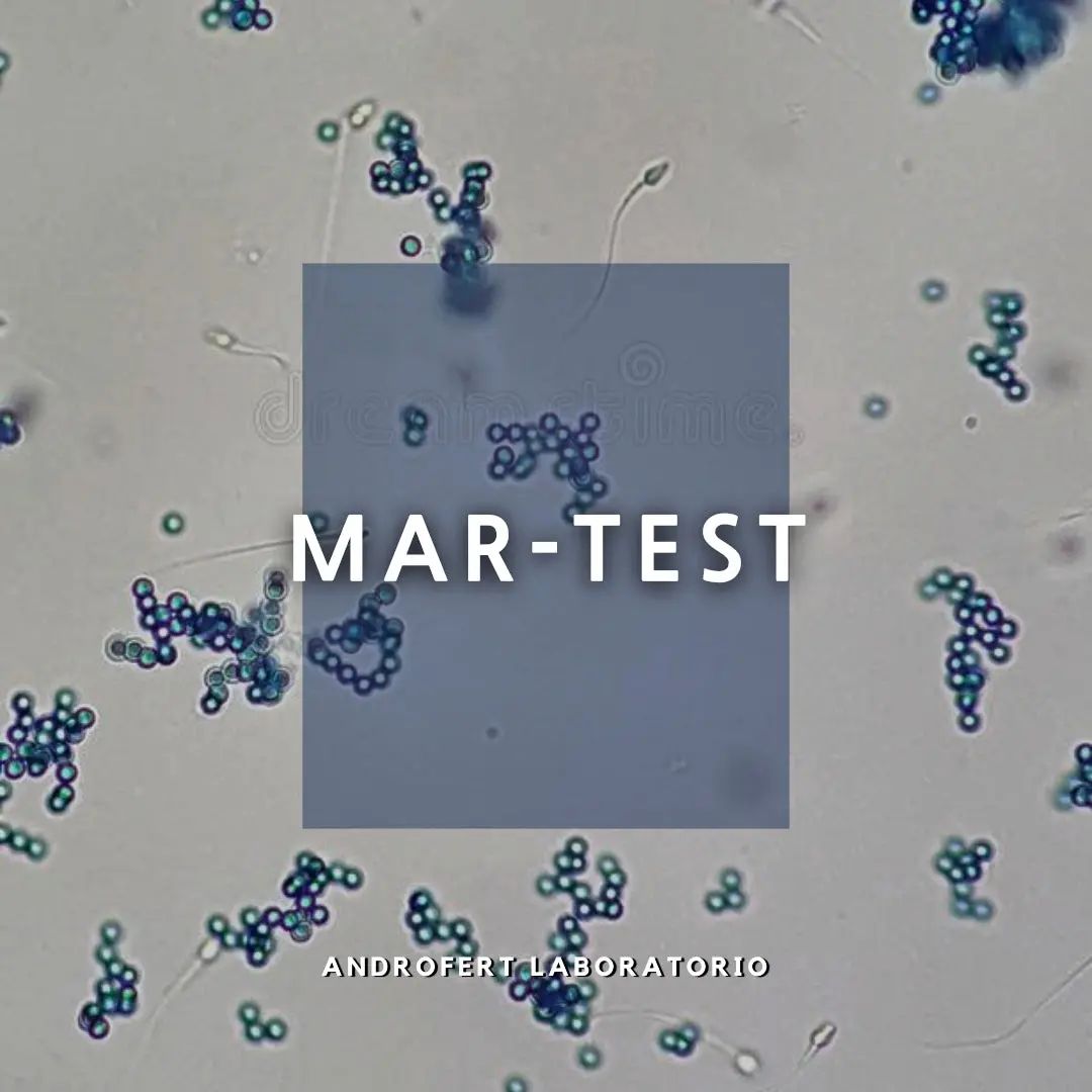 🔸El Mar-test en una prueba que se... - Androfert Laboratorio