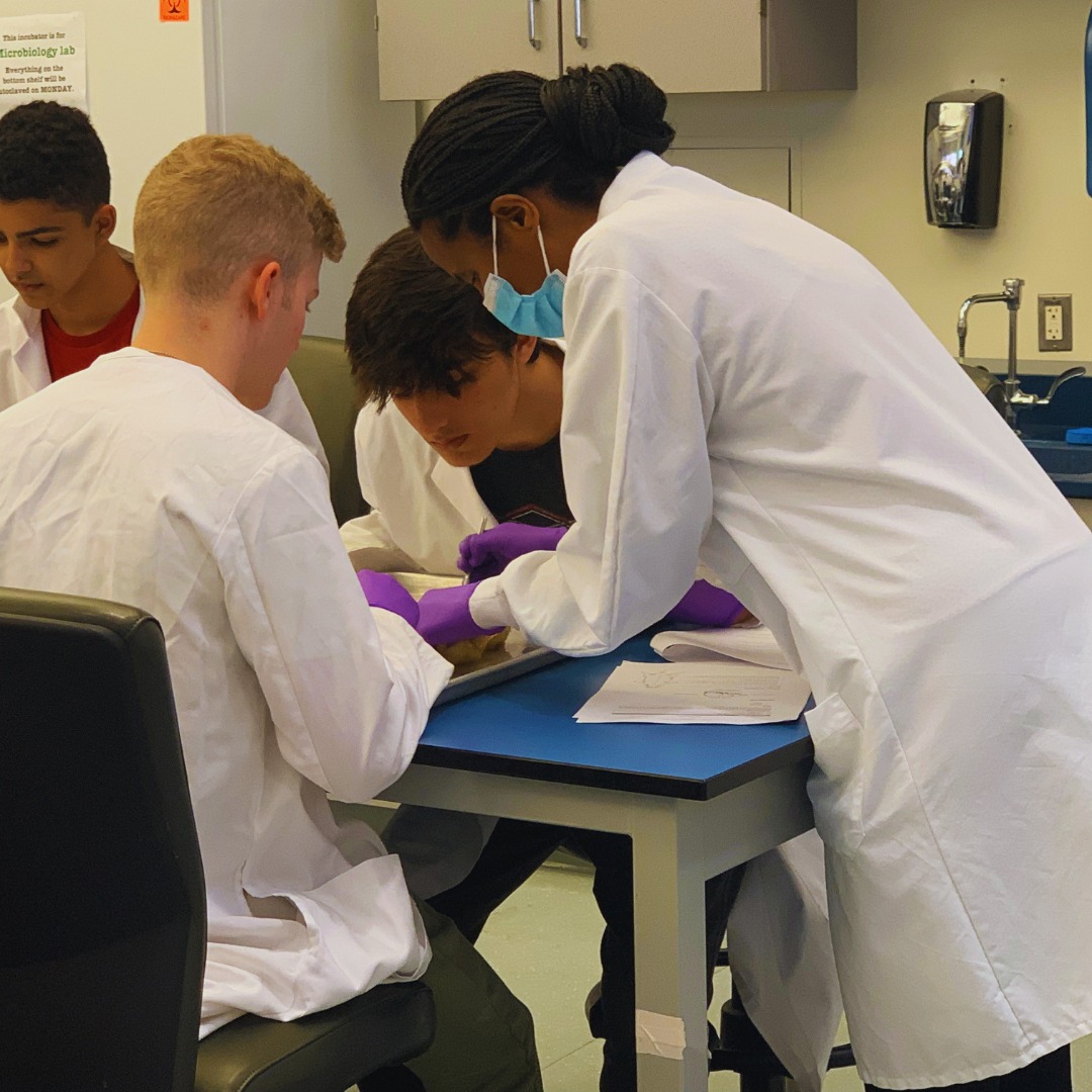 Georgetown University Summer Programs for High School Students ...