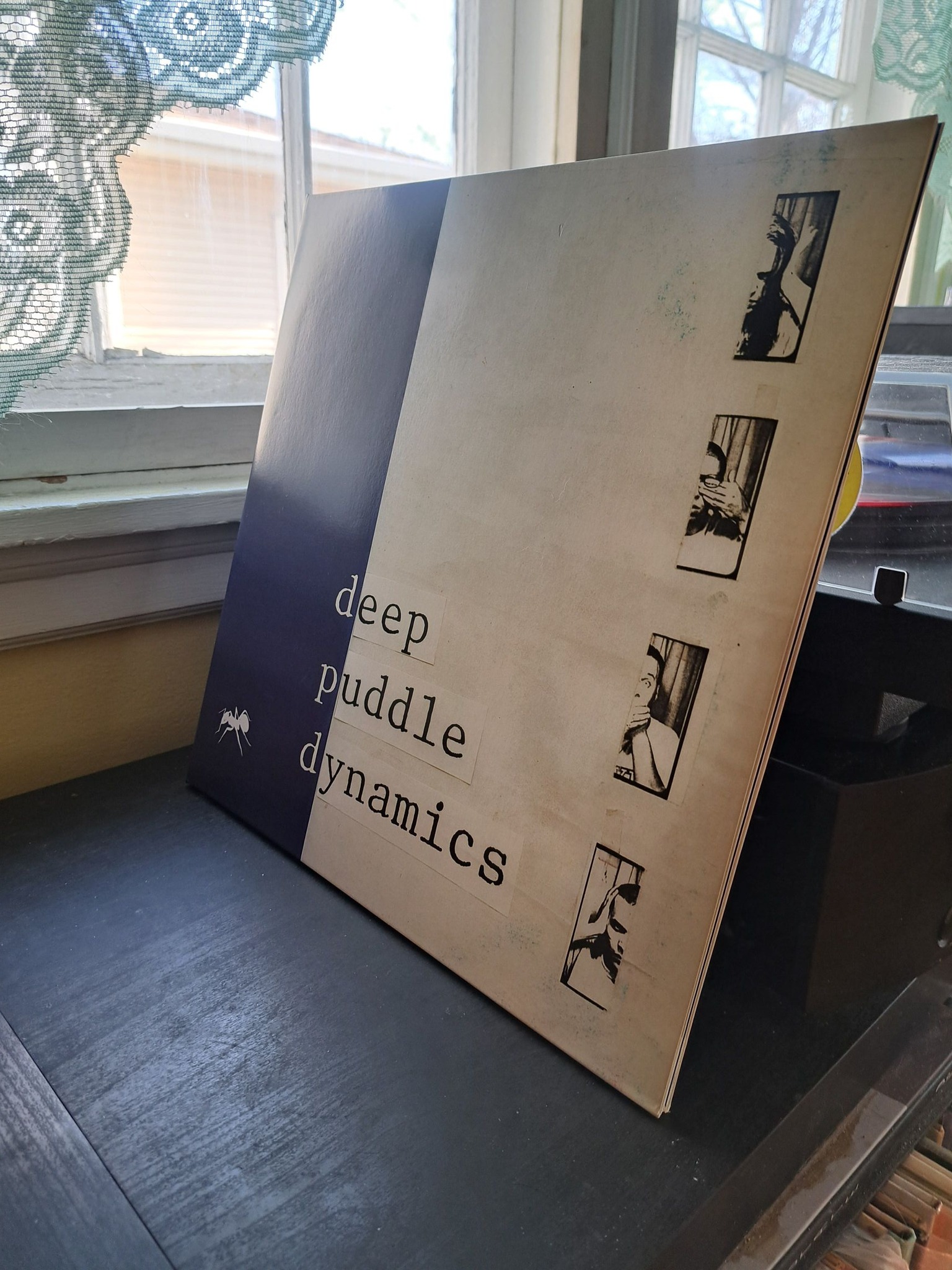 Deep Puddle Dynamics – The Taste Of Rain... Why Kneel Been wanting 