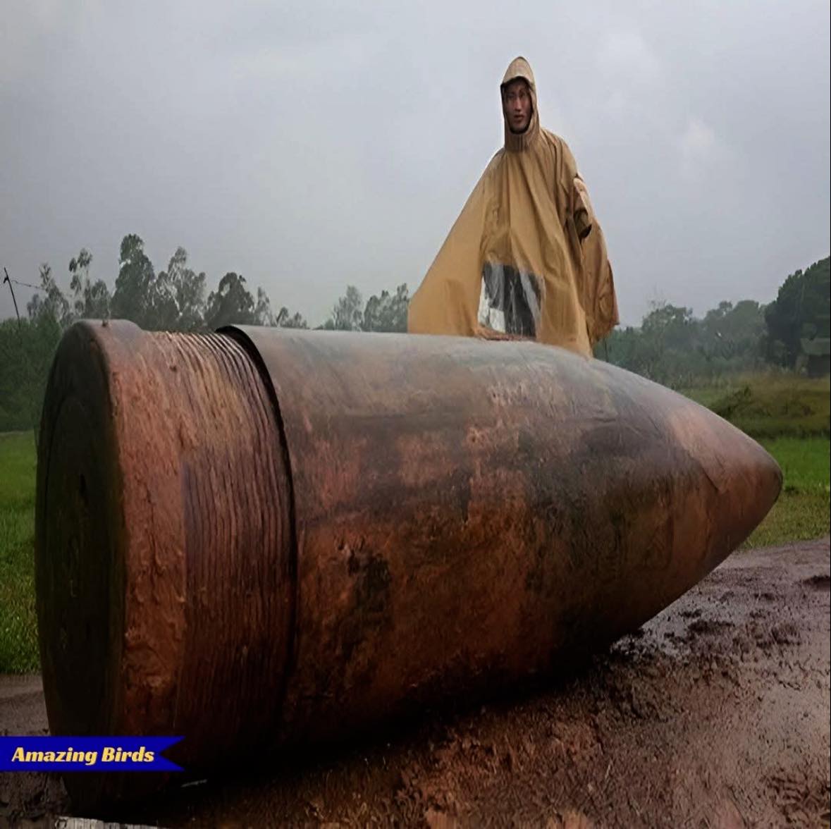 In Vietnam, a powerful remnant of war was uncovered in 2015 when