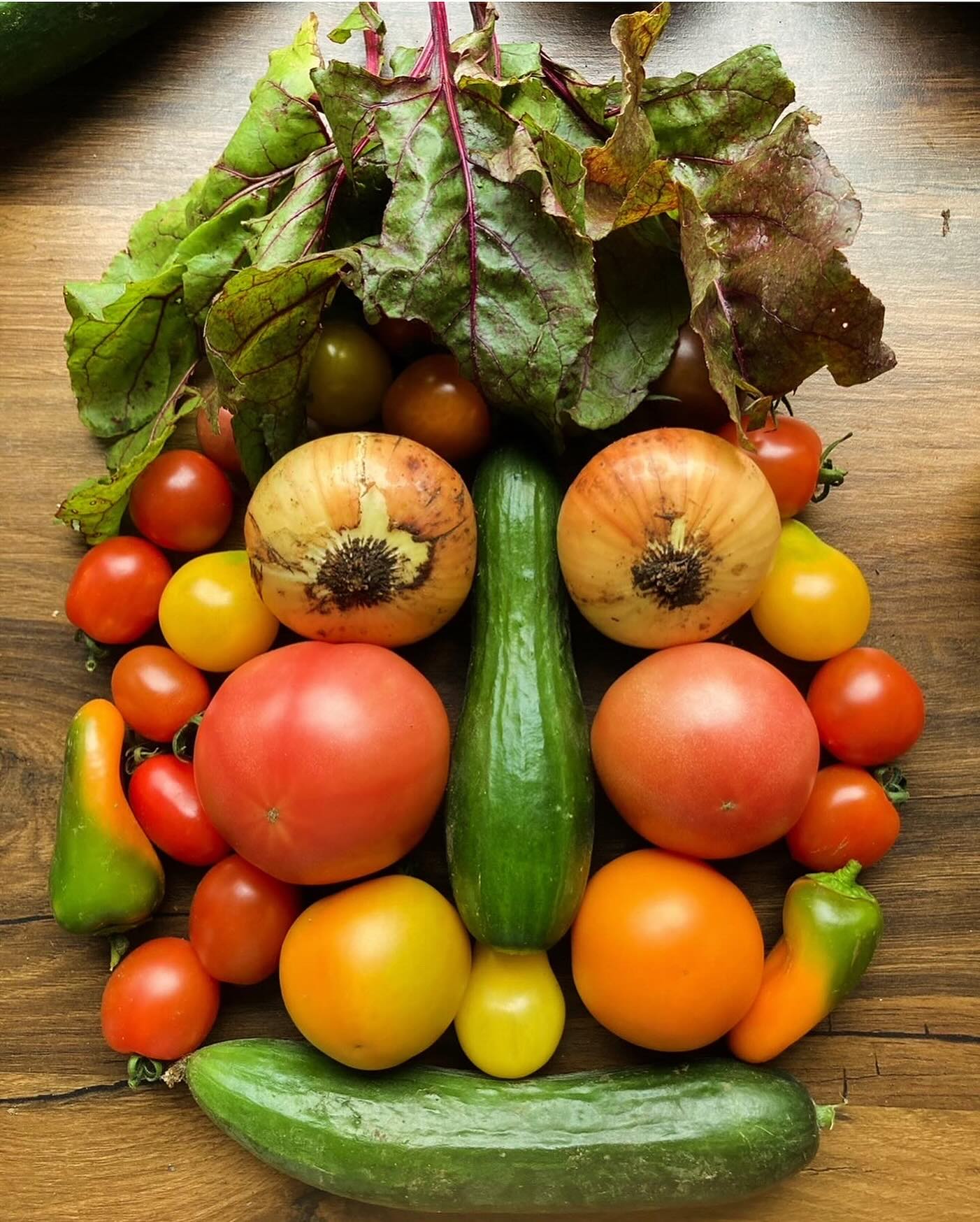 Stéf - 🌱 Neue Saison 2026 bei der SoLaWie Wiesbaden! 🌾 Die Solidarische ...