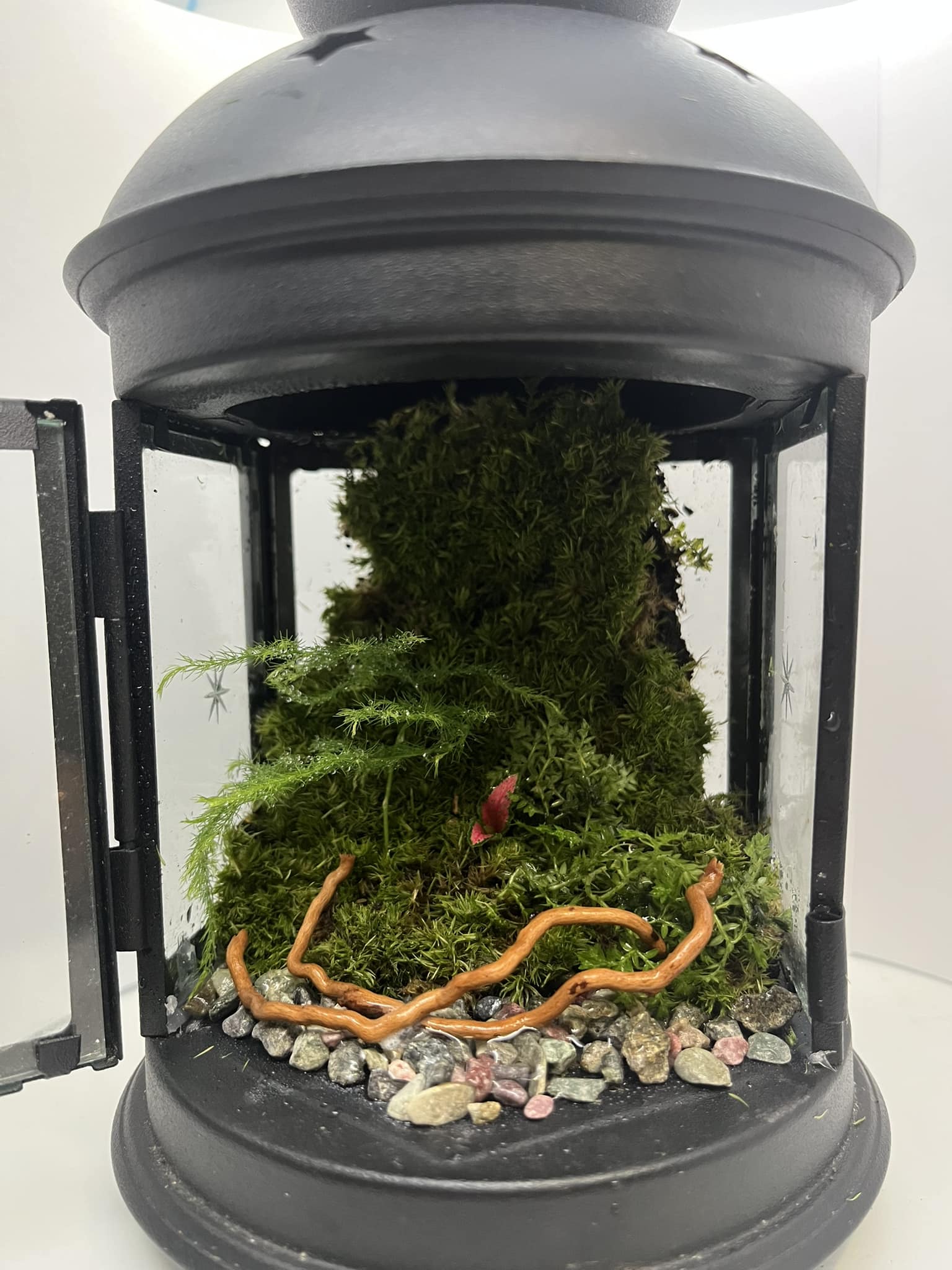Ikea Rotera Tea Light Lantern Terrarium