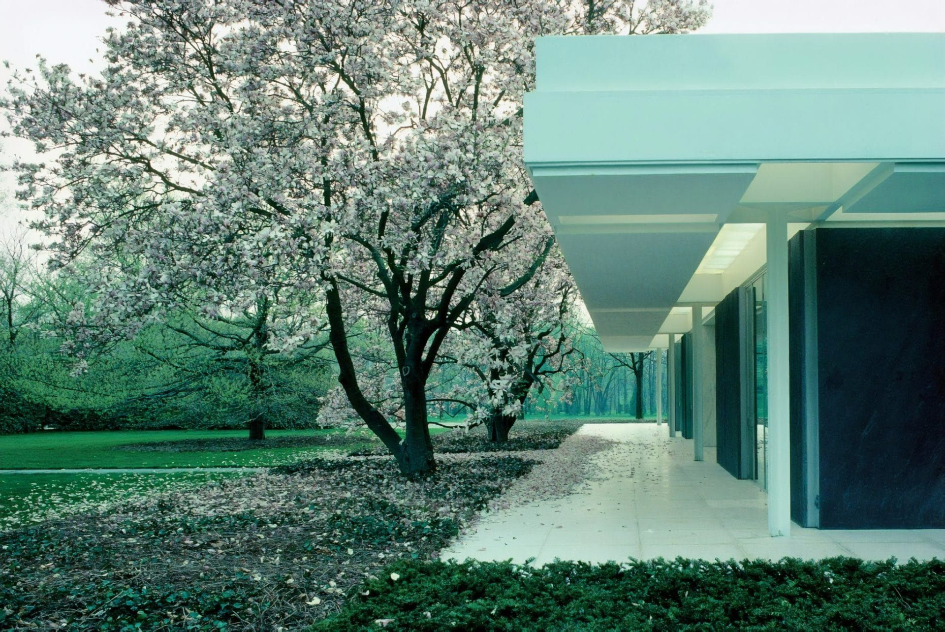 Miller House and Garden in Columbus, Indiana, by Eero Saarinen