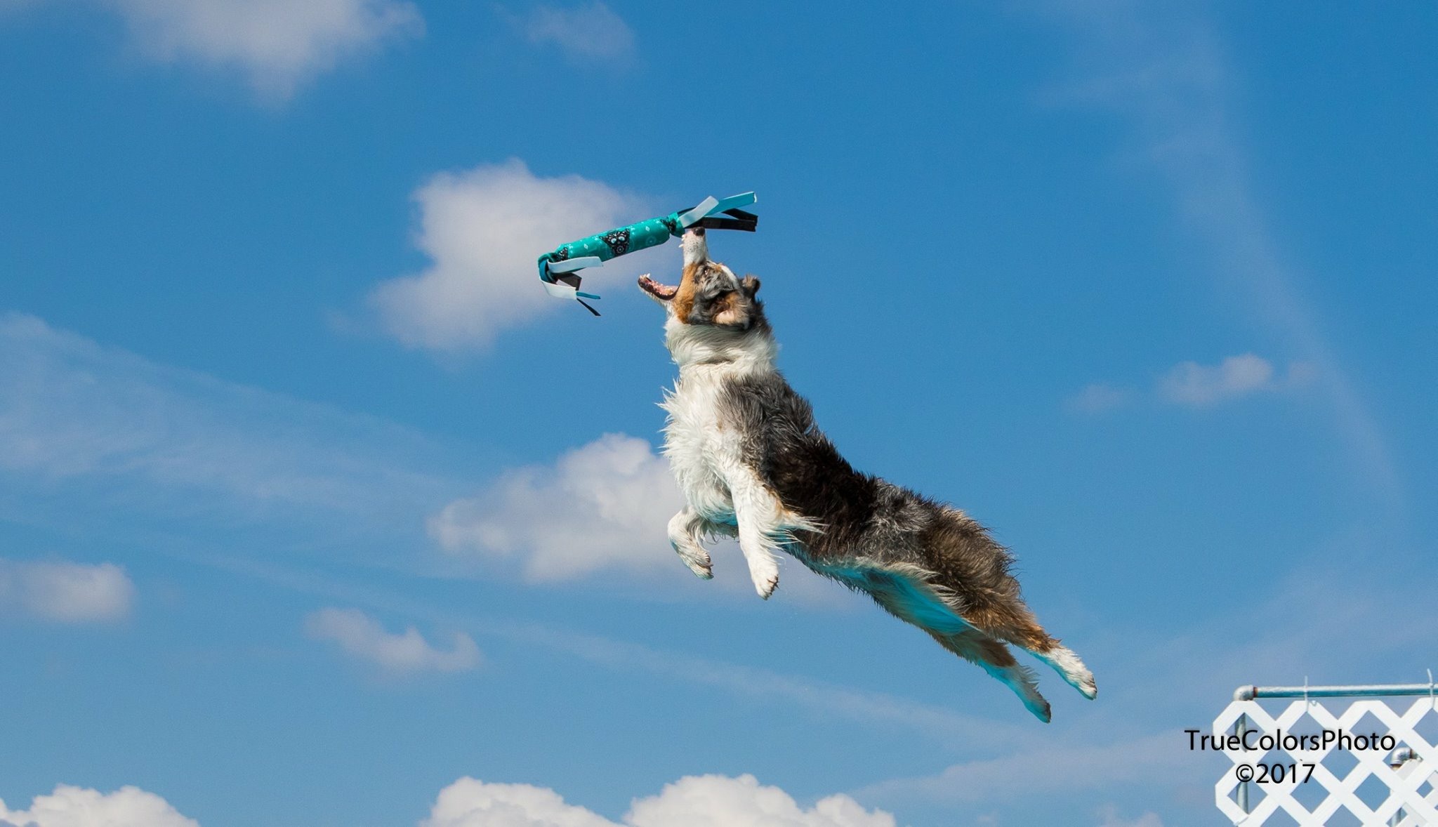 Leap into Spring! - Seminar and IDS trial