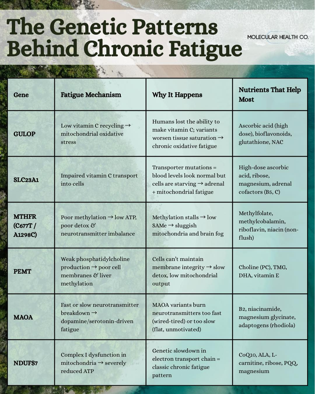 glutathione and cfs Diseases Conditions that Improve with Infusion | Cardiology & Neurology Specialists located in Queens, Forest Hills and Brighton Beach, Brooklyn, NY Understanding cellular hypoxia in chronic