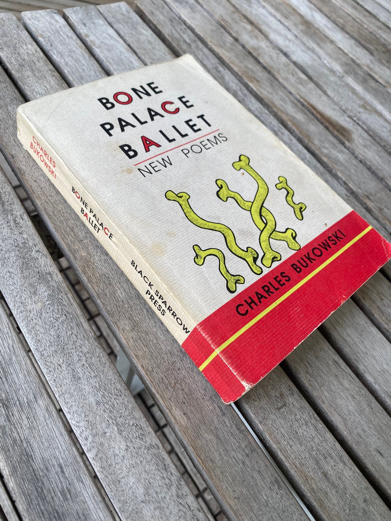 What was on the missing page in Bone Palace Ballet?