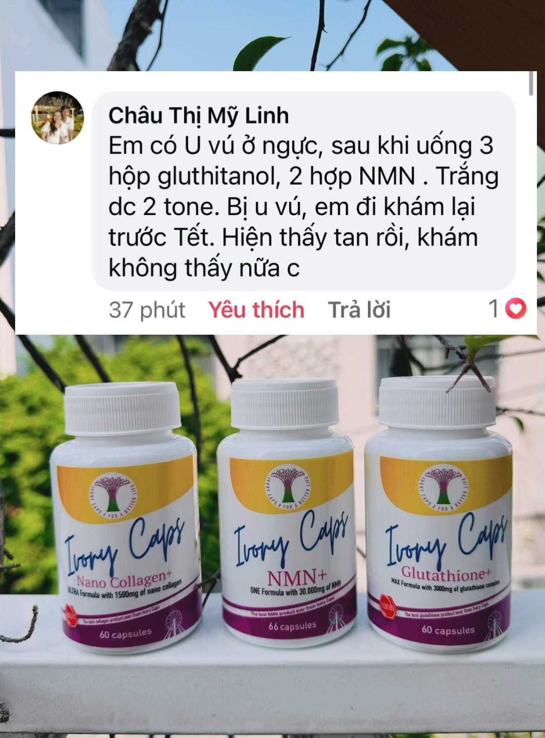 Trà My