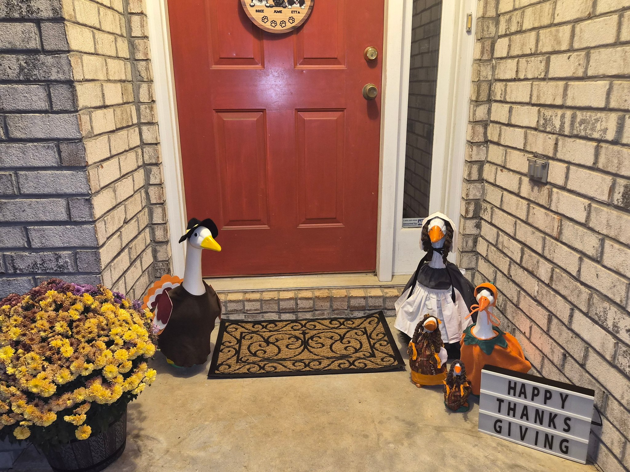 The Porch Goose Club of America | Nola, Nolen, Edie, Peggy, and Pippin ...