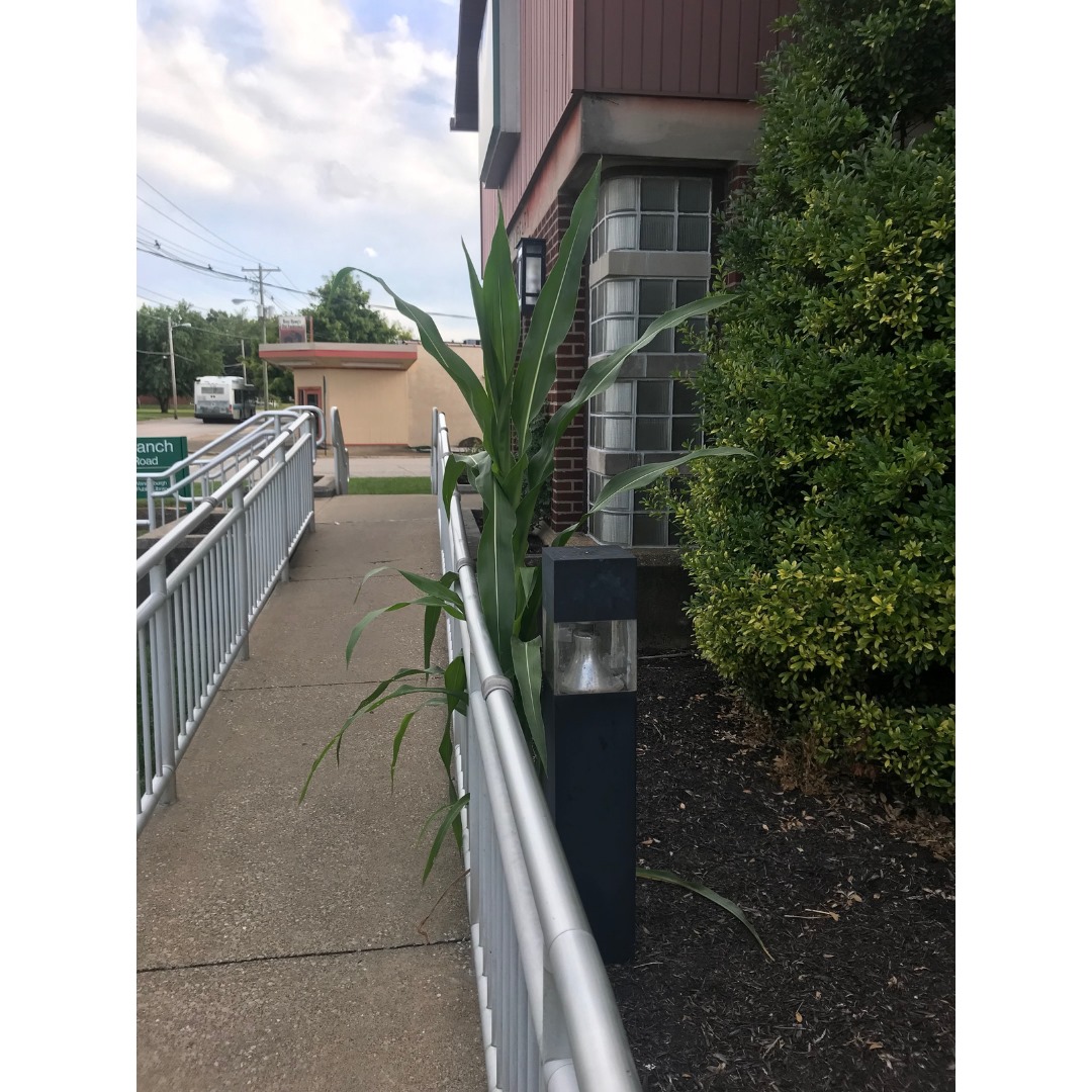 EVPL Stringtown | Evansville IN