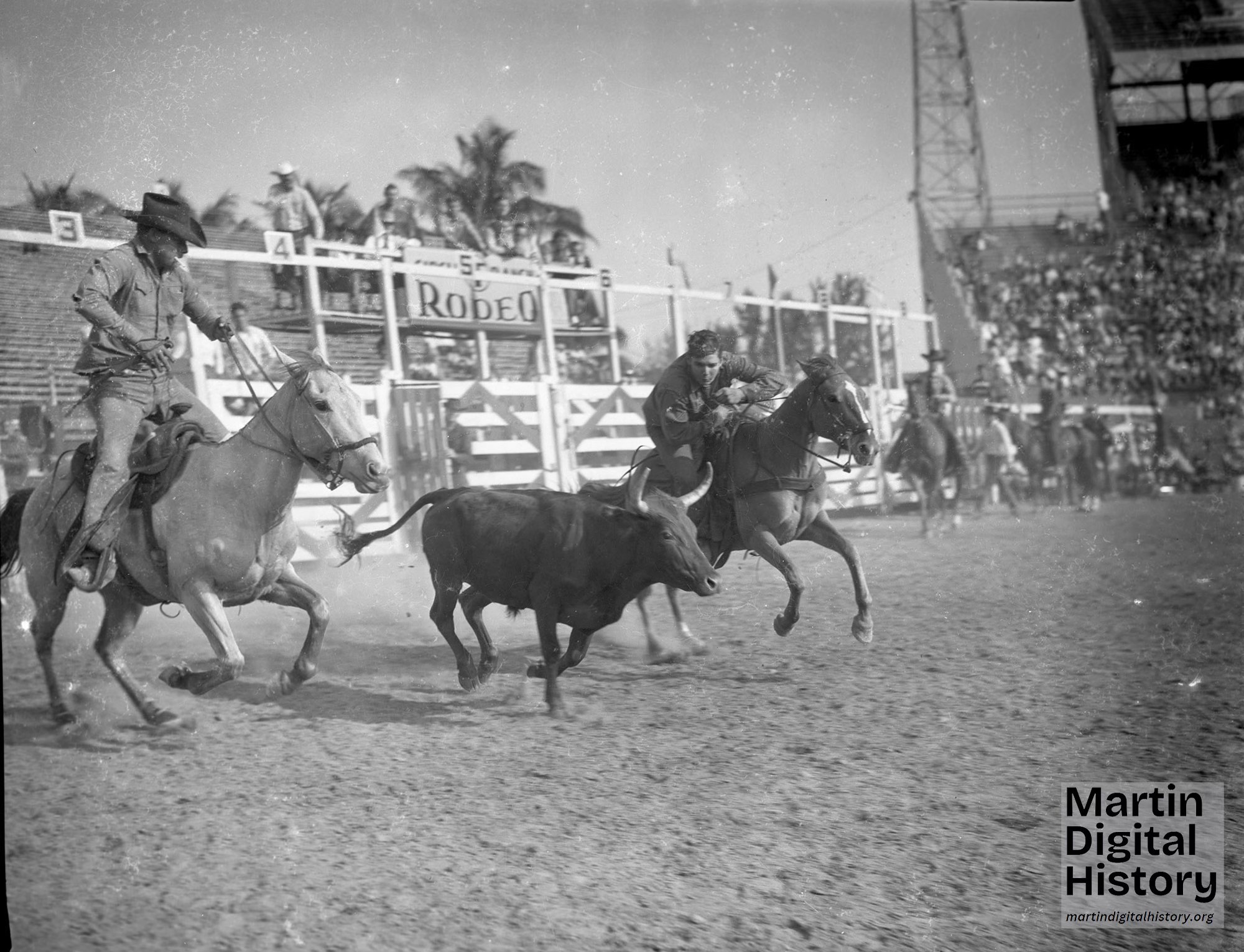 Florida: A History In Pictures | Rodeo performers at the Orange Bowl in ...