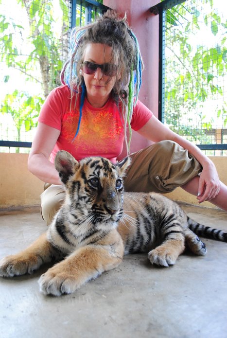 Molly Lenore - Baby tigers are super soft and super... | Facebook