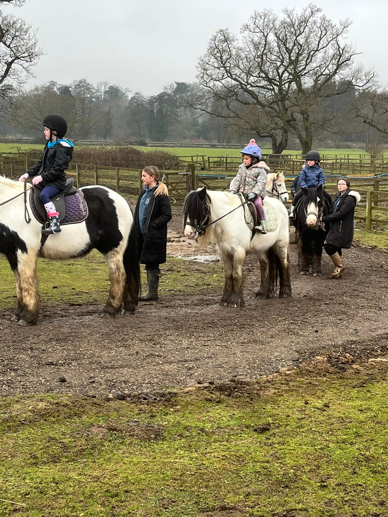 The Little Ranch Riding Centre | Facebook
