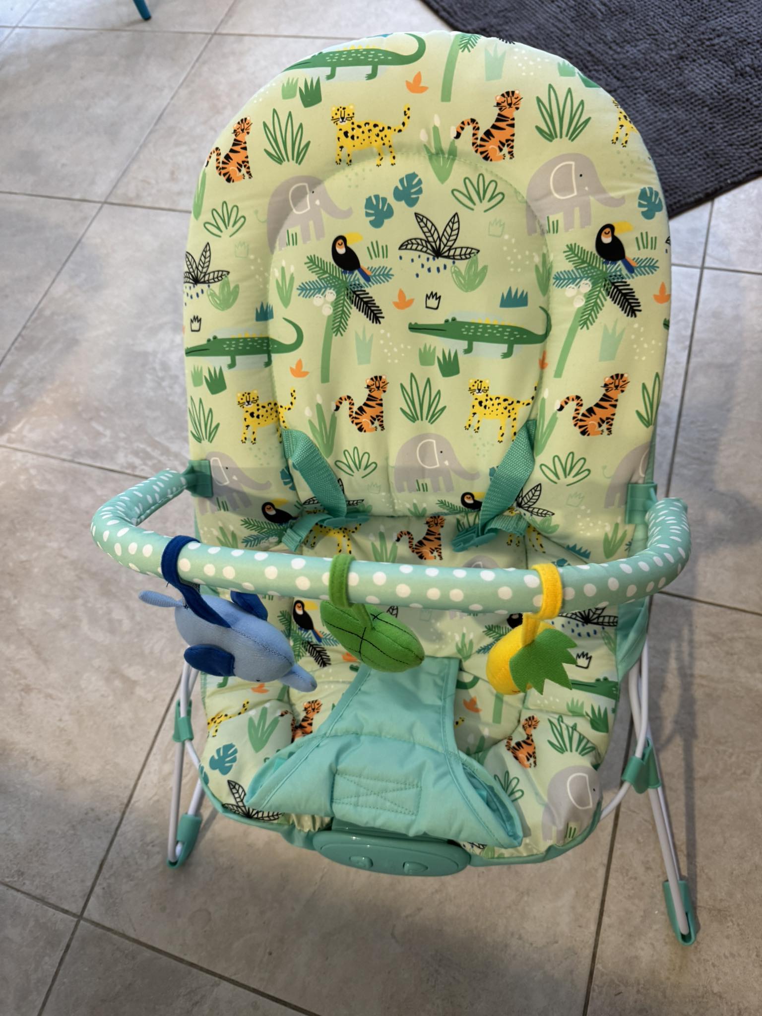 Kmart bouncer. Not used a lot as was for grandparents house and