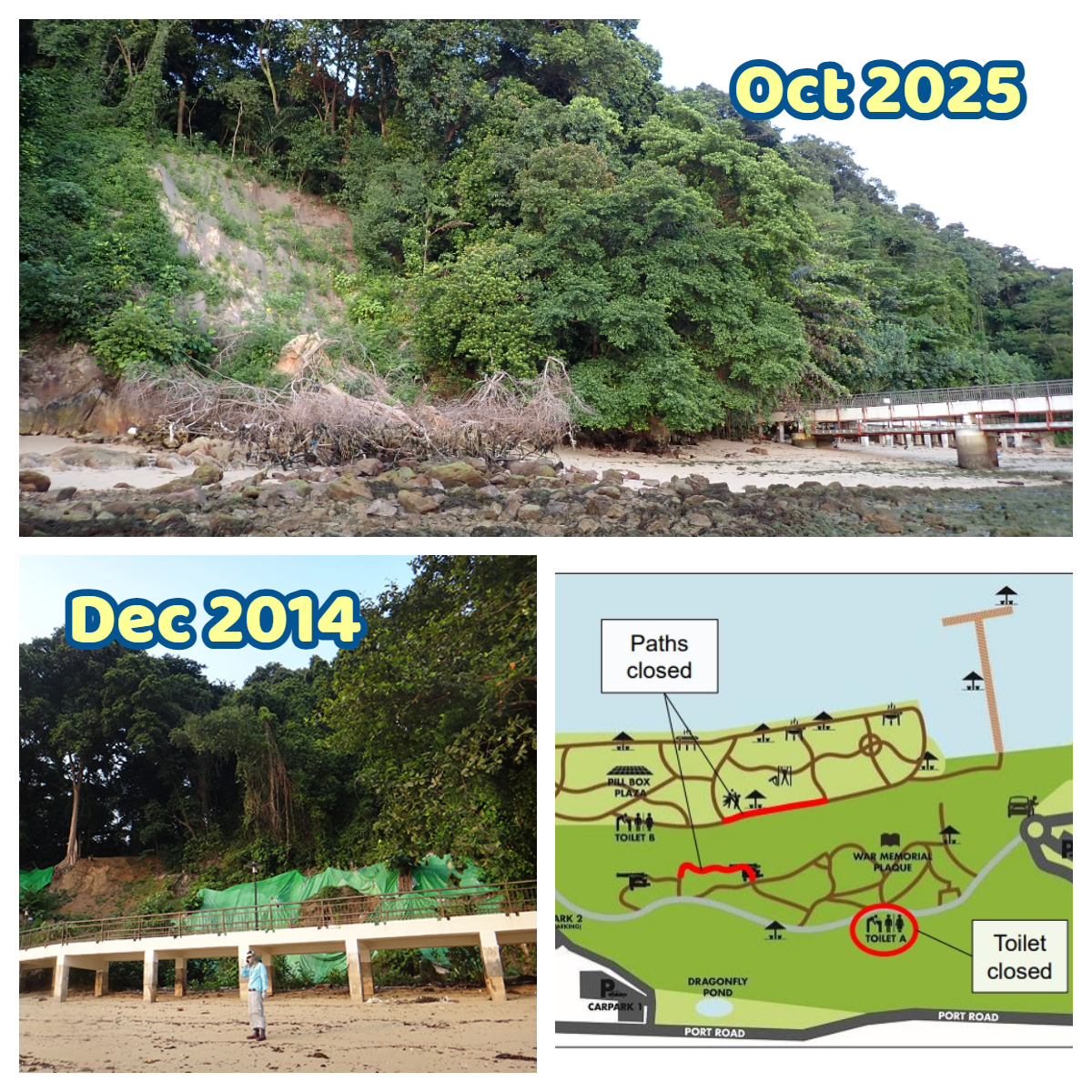 Ria - Labrador is Singapore's last natural cliff on the mainland ...