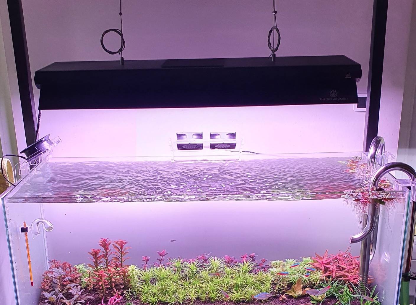 For Sale: Week Aqua P600 Pro 90w - good for 60cm-90cm tanks With 