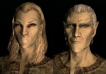 Elf from Skyrim Cosplayer:... - The ART of COSPLAY | Facebook