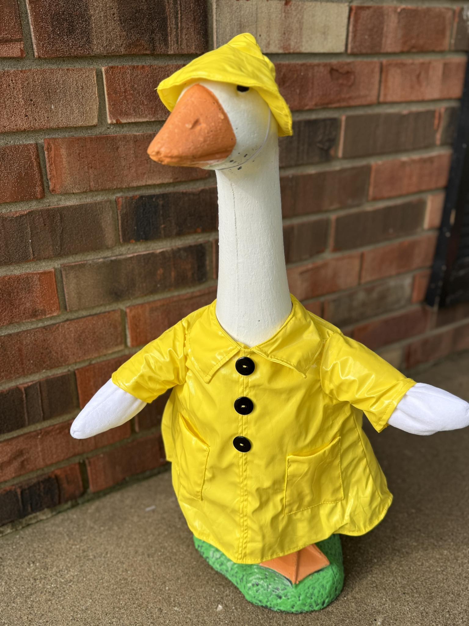 The Porch Goose Club of America | Finally got rain in Indiana today ...