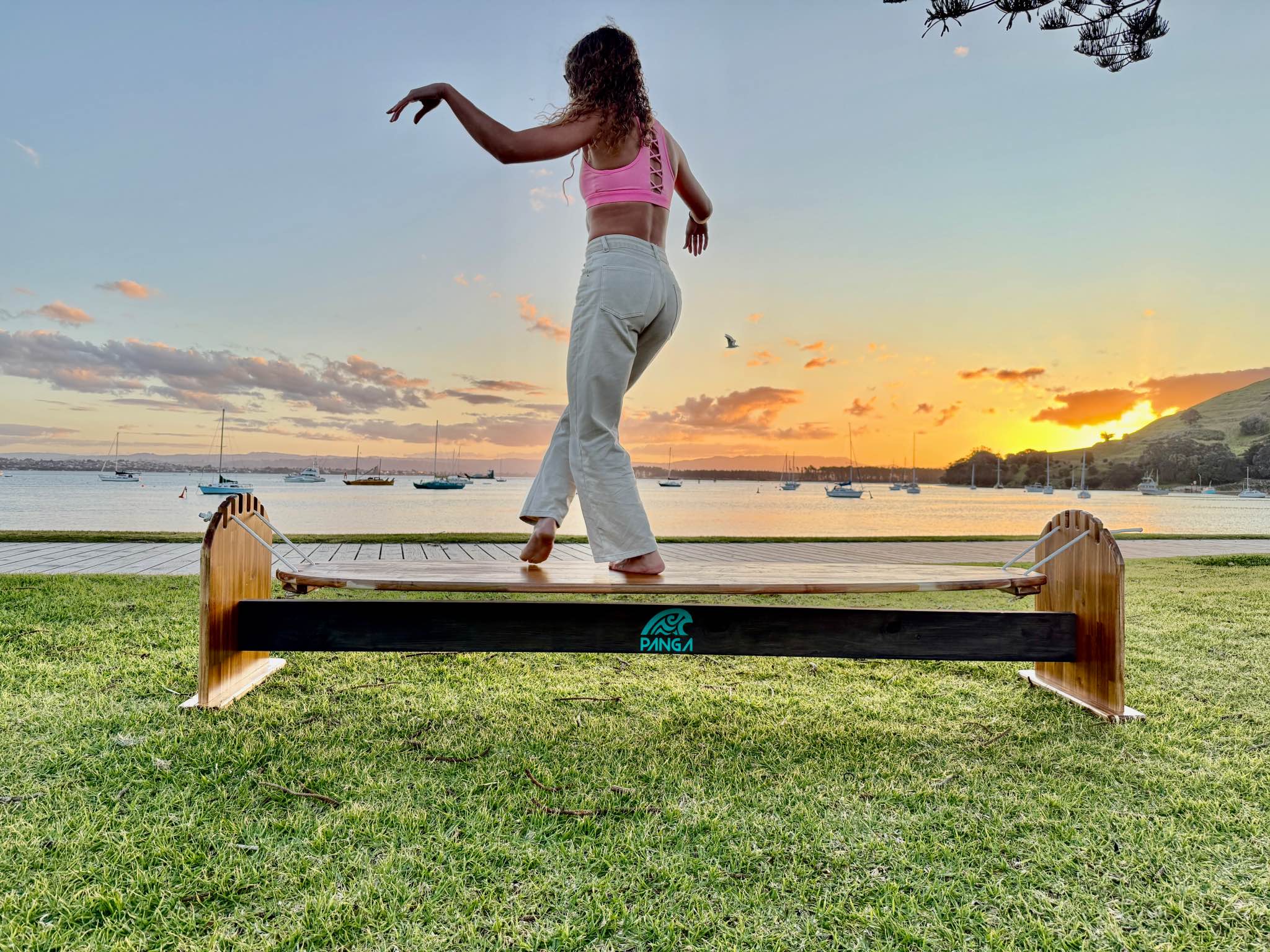 The Goofboard Classic balance board model simulates riding down