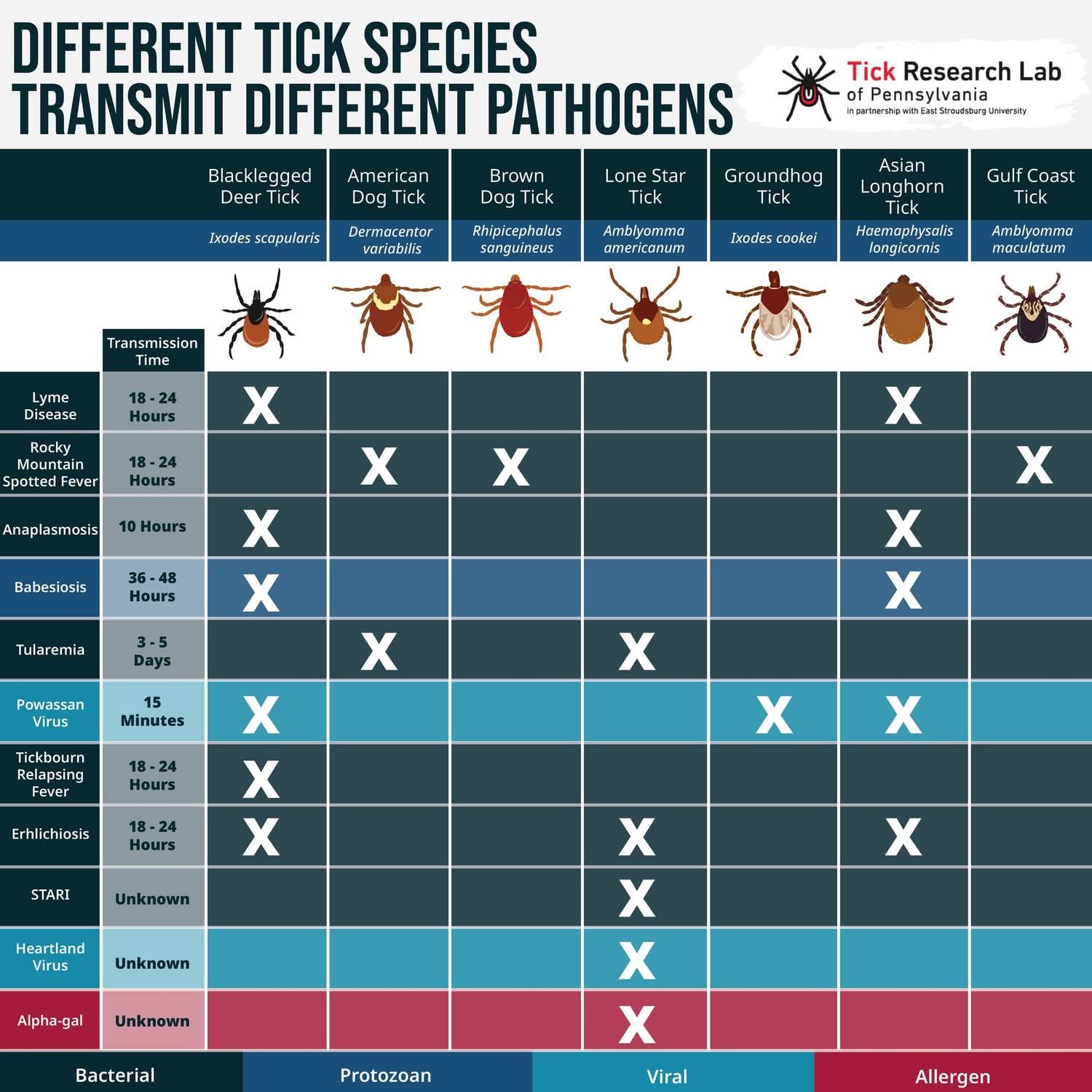 David - Tick season is here!!! Different tick species transmit ...