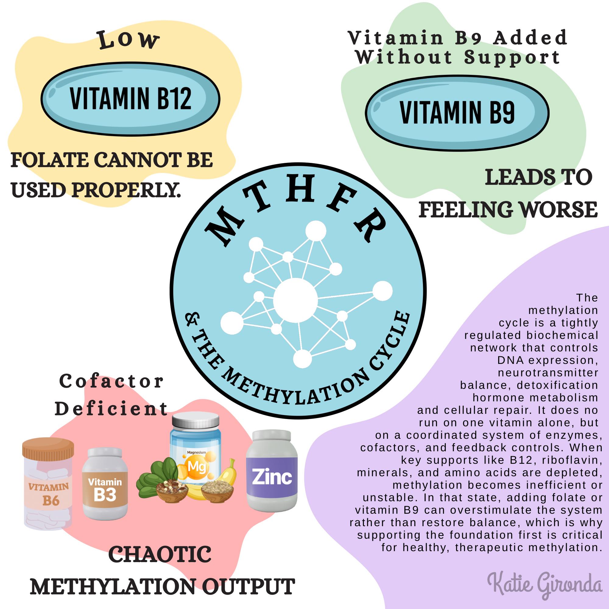 Methylation is one of the most discussed topics in functional health. Most of the conversation centers on folate and B12. The actual cycle has four nutrient inputs, and the one almost nobody