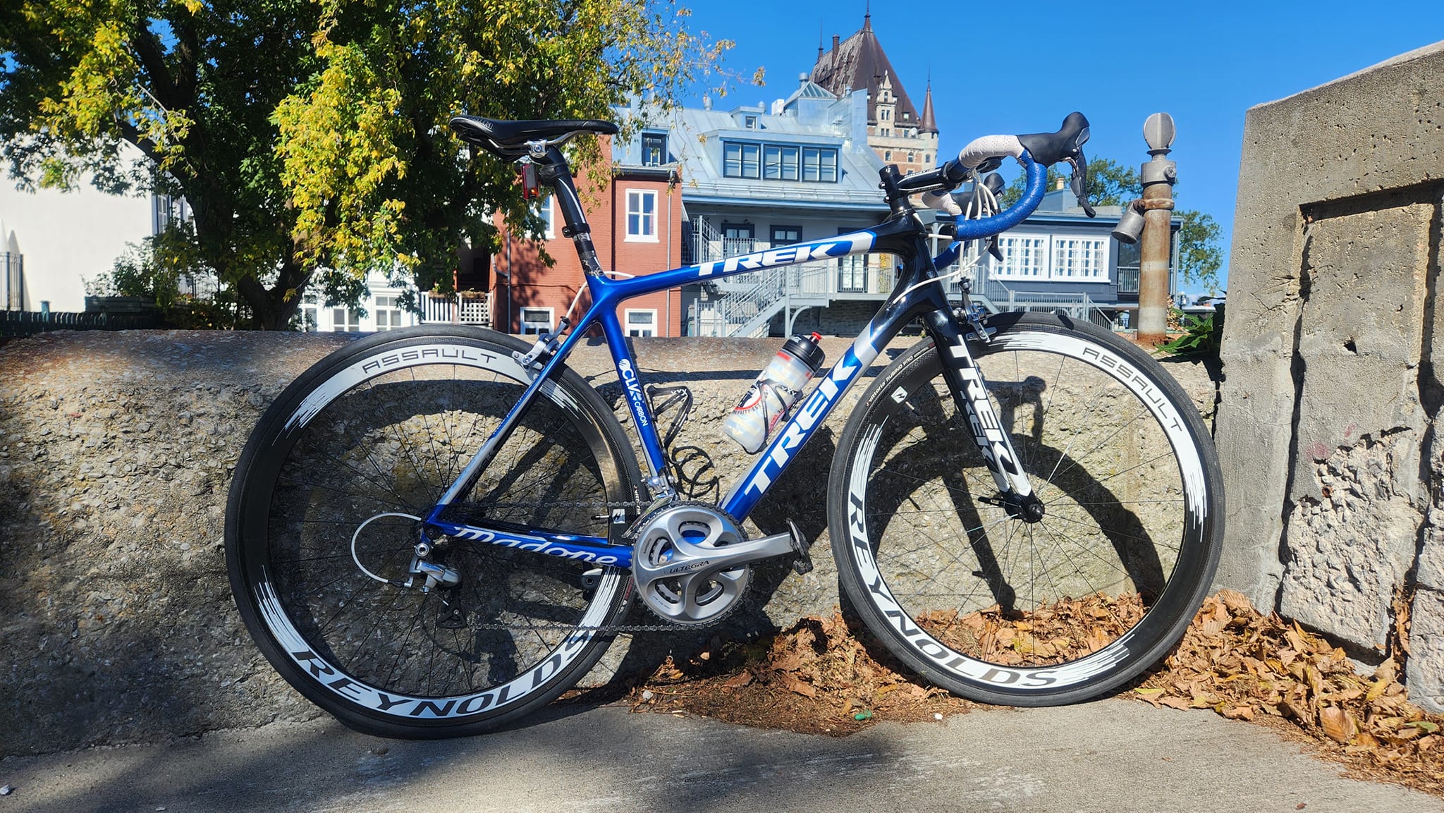 My old TREK Madone 6.5 2011. Still a great bike! Bought in 