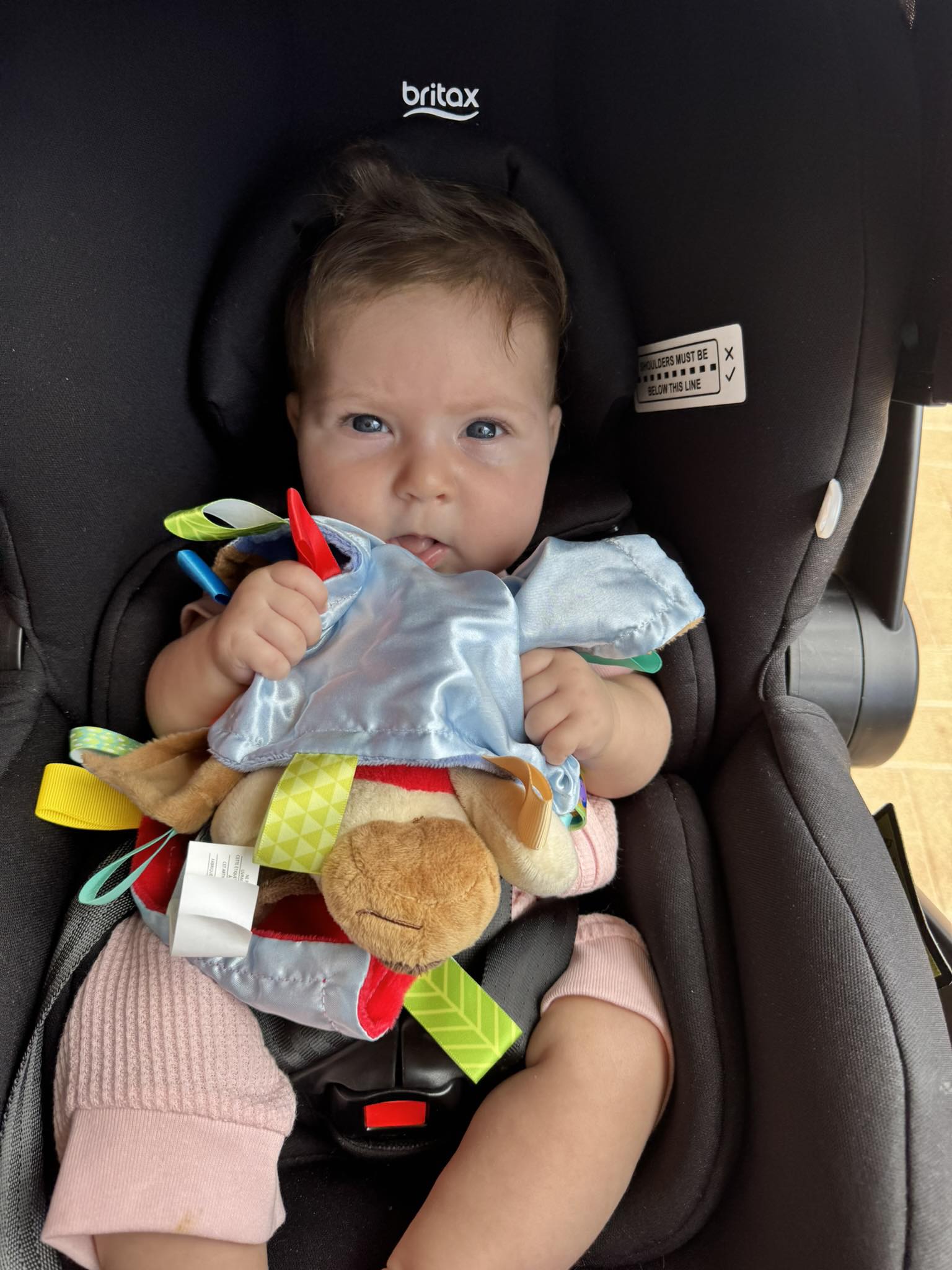 how to fold the chicco stroller Watch Full Demo and Review of Bravo Quick on Amazon Live Golf Rain Hood Towel Hierarchy Group:Accessories Size:Clearwater Spool Only size IV