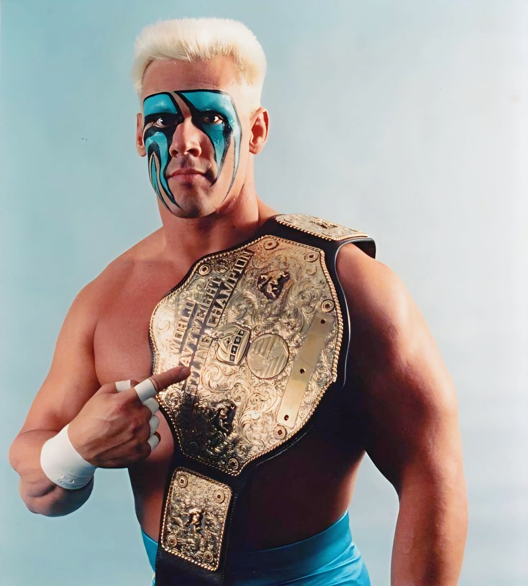 WCW-World Championship Wrestling | What percentage of WCW's success ...