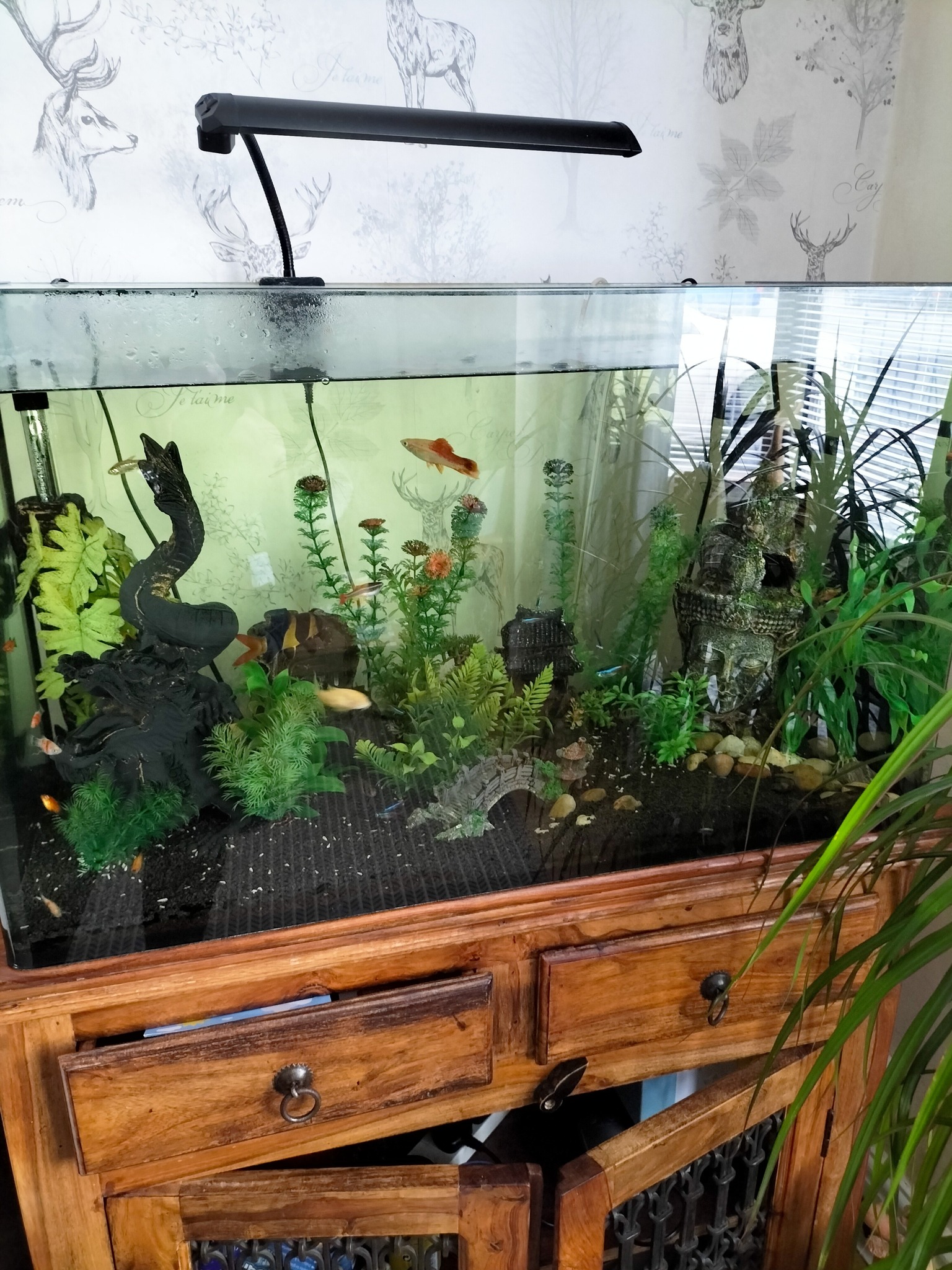 fish tanks accessories stockport 3D Aquarium Displays or Touch Ponds – DAS I have a very large