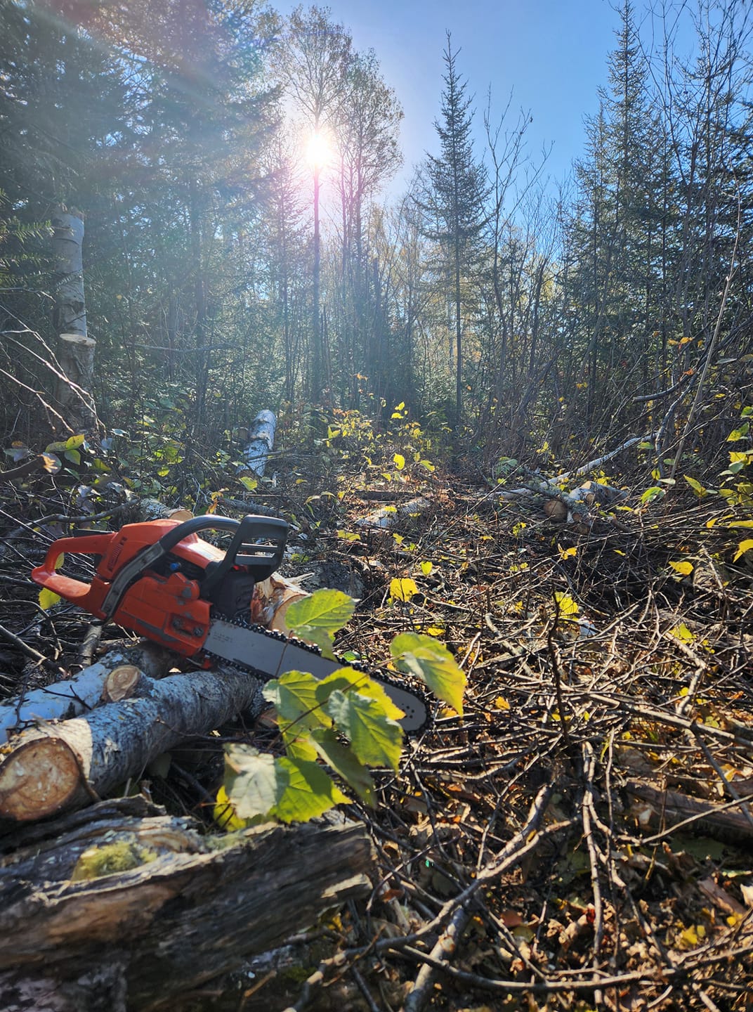 Archer 24" Pro Guide Bar – 3/8" Pitch .050" Gauge 84DL For Husqvarna 359/460, Jonsered 2159 3 thumbnail image
