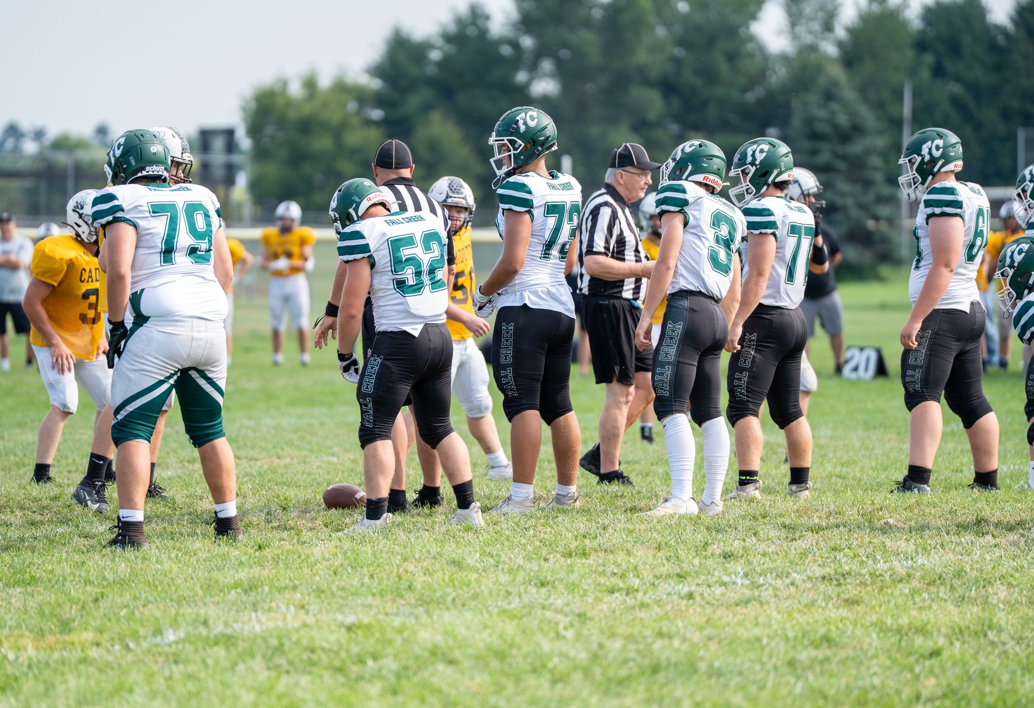 Fall Creek High... - Fall Creek High School Sports History