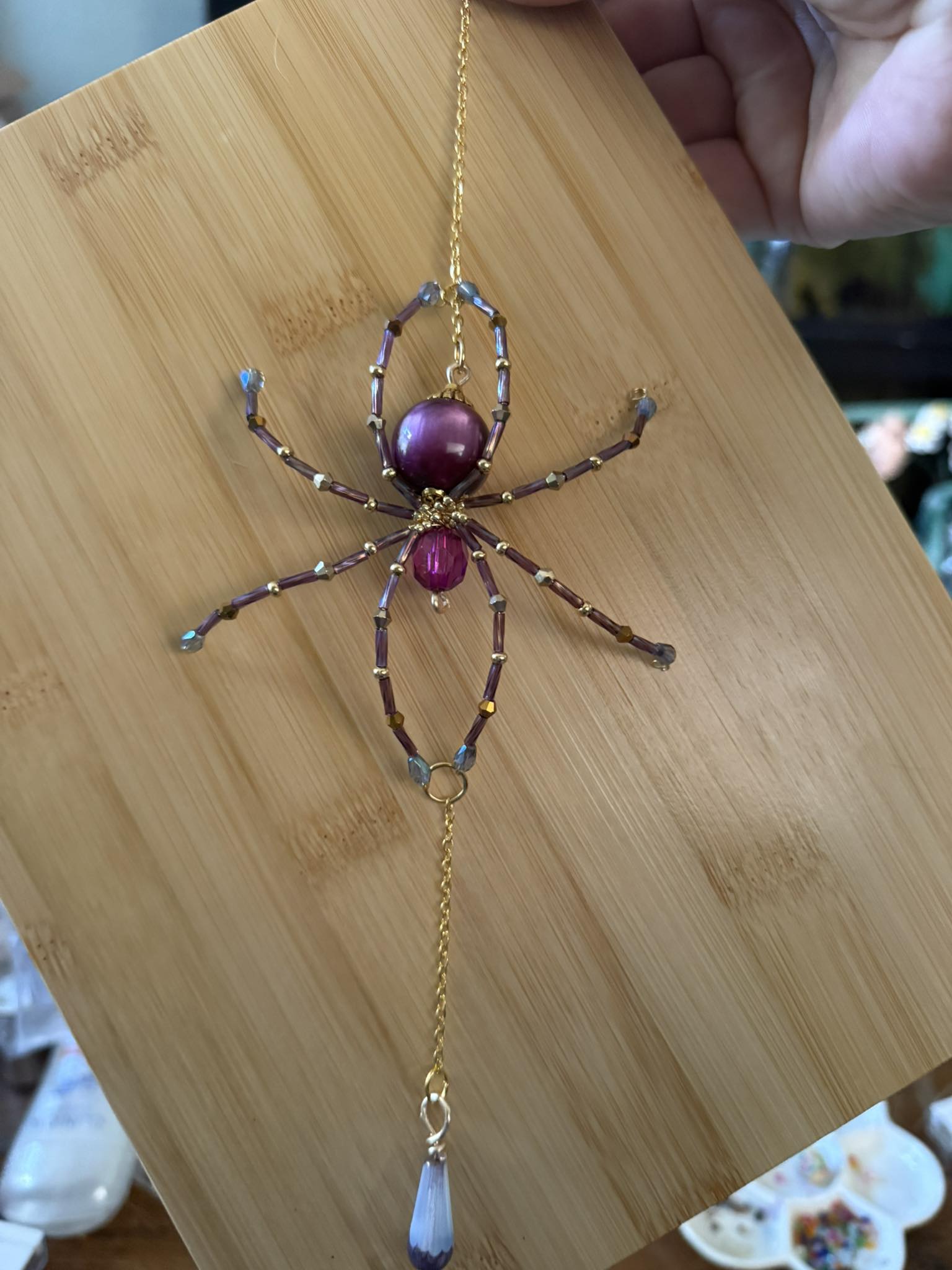 My first spider!