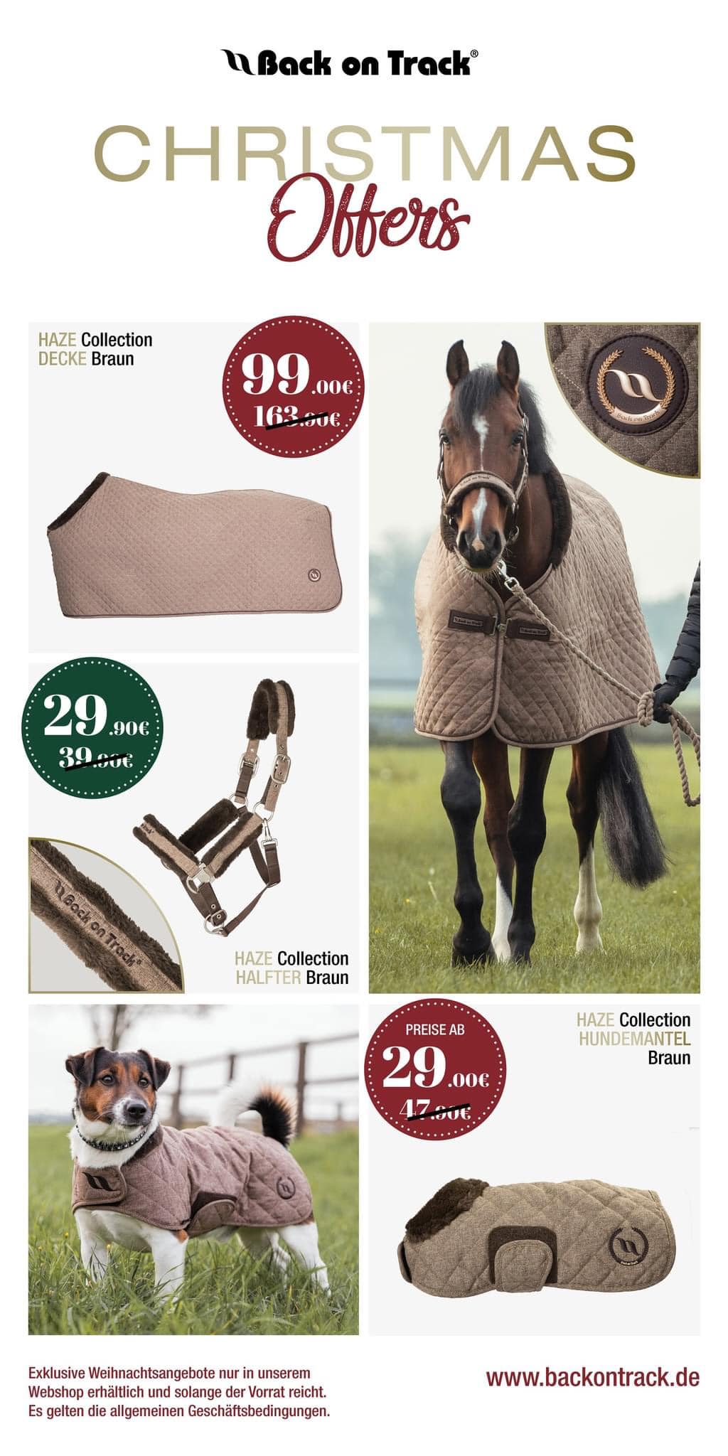 Back on Track Royal Ankle Protector Deluxe nero, L