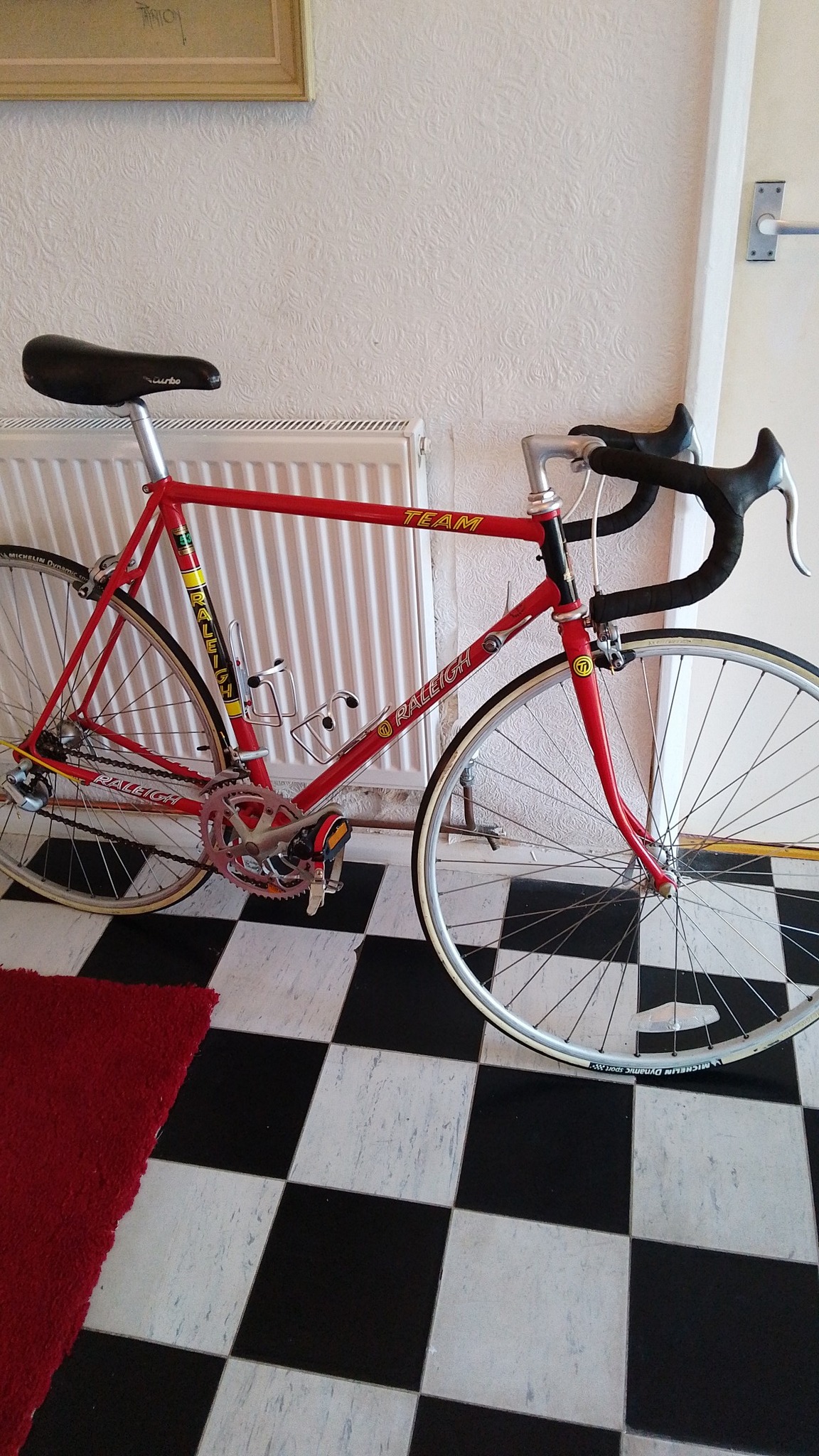 Raleigh Triathlon 1987. Reynolds 531 with complete Shimano 105