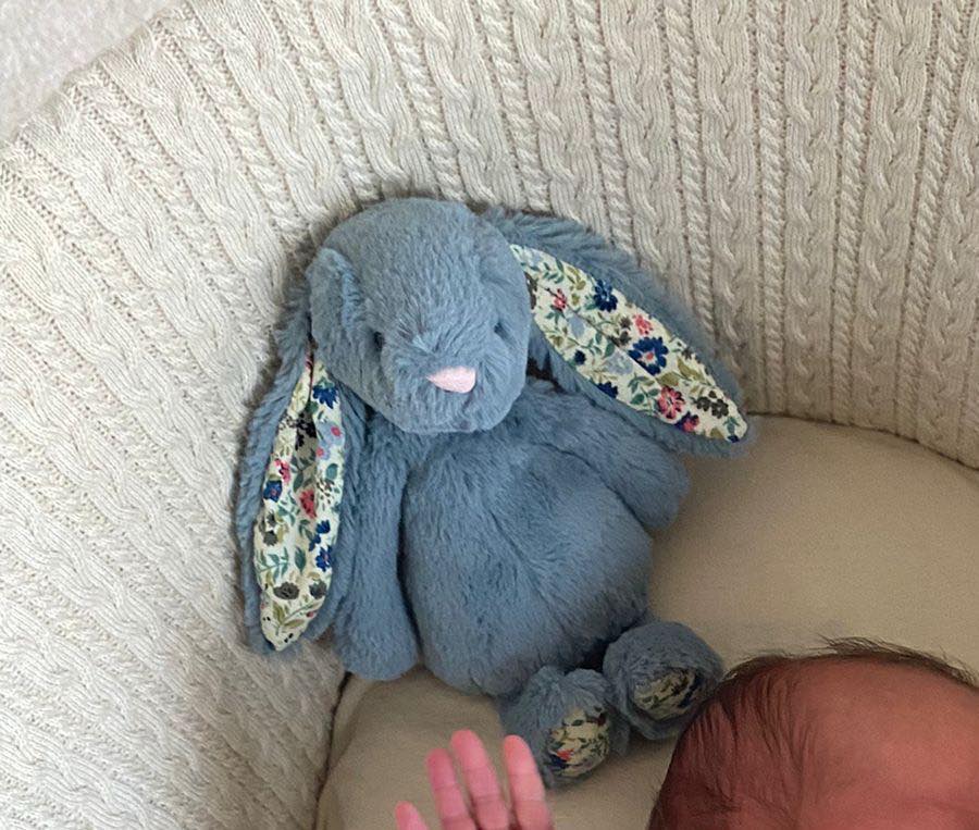 Lost Dusky Blue Blossom Bunny 'Hop Hop', is anyone selling?