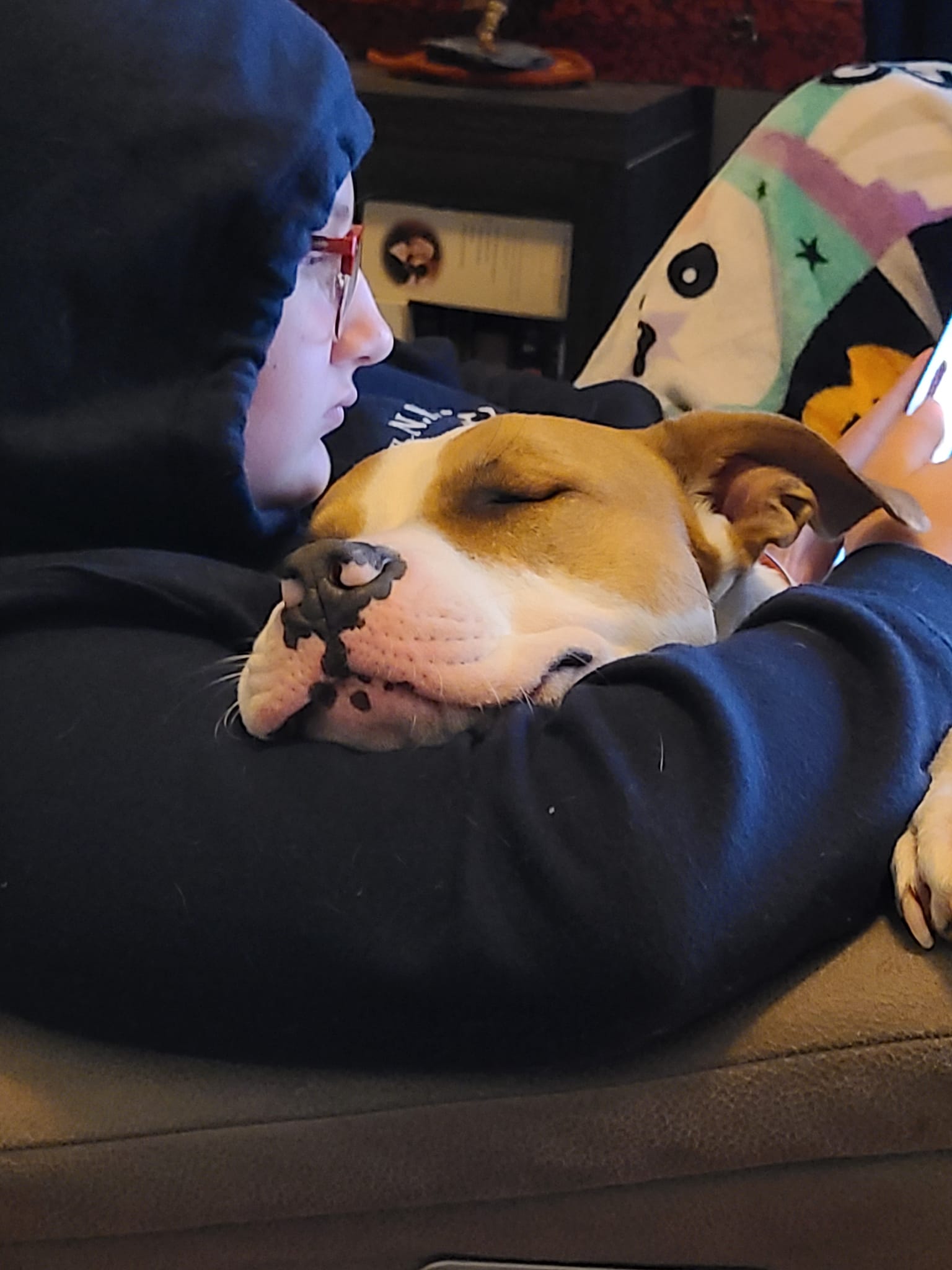 Vicious Pitbull being vicious